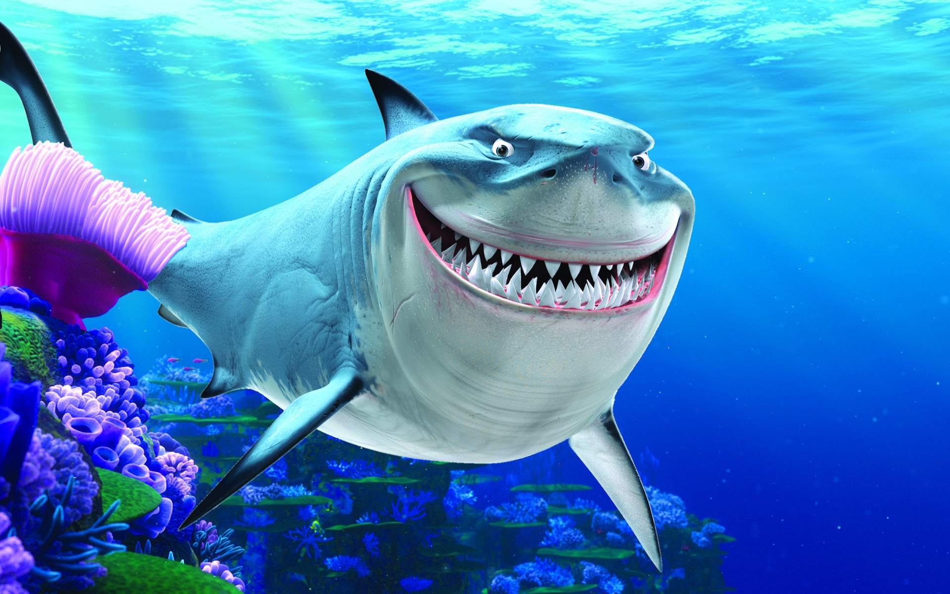 429788 télécharger l'image requin, film, le monde de nemo, bleu, bruce (le monde de nemo), océan - fonds d'écran et économiseurs d'écran gratuits