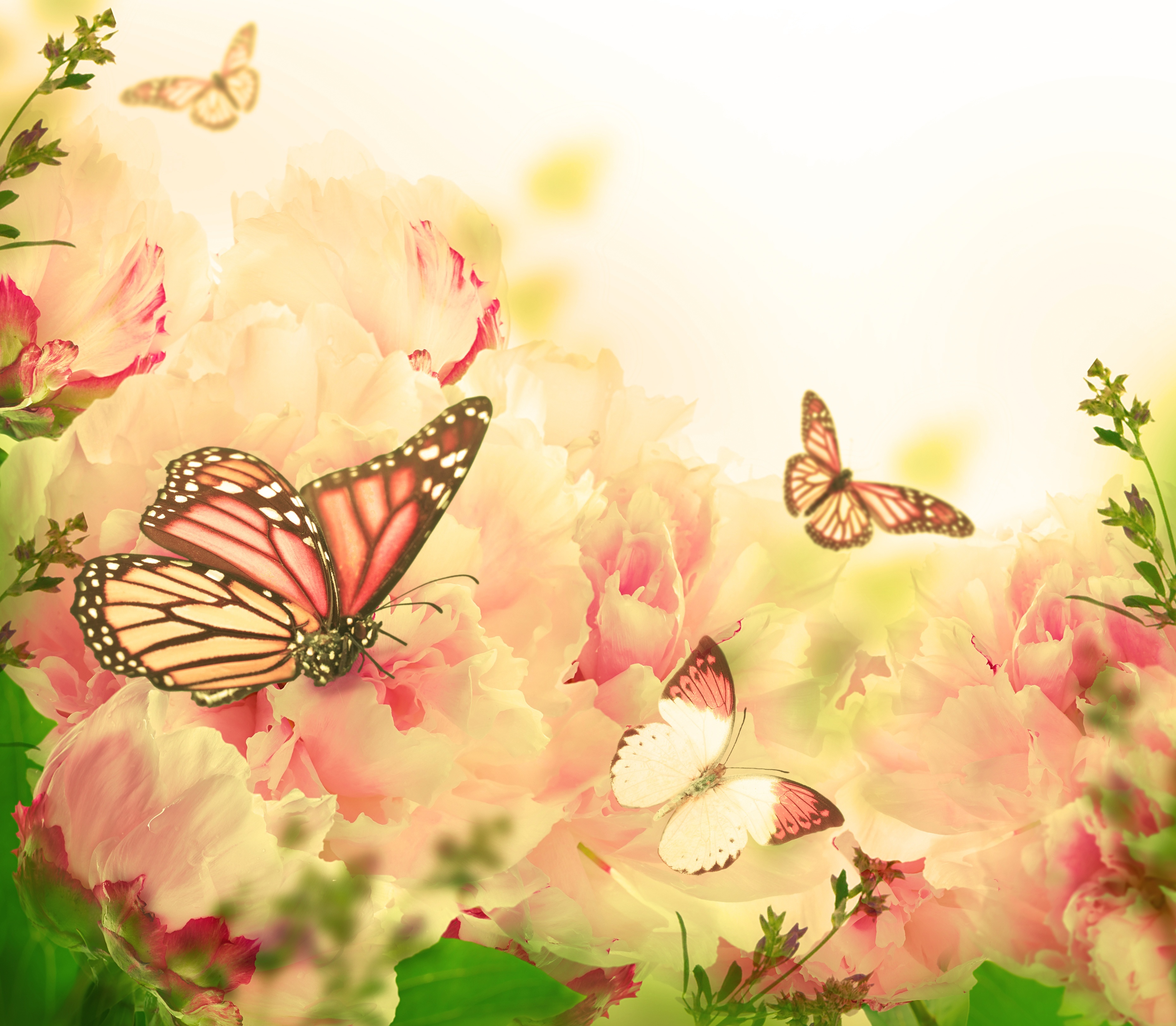 Download mobile wallpaper Pink, Flower, Insect, Butterfly, Animal for free.