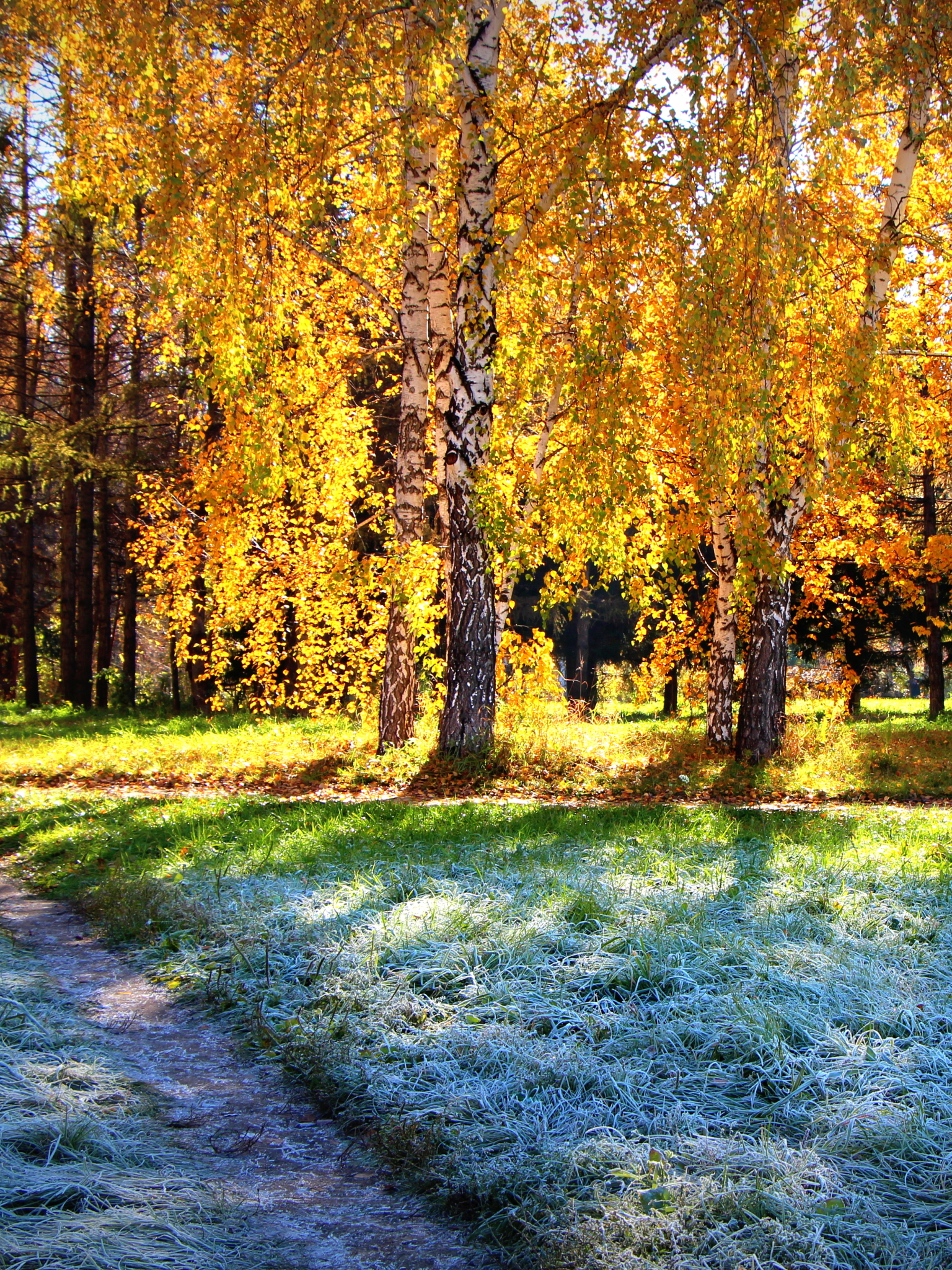 Handy-Wallpaper Herbst, Erde/natur kostenlos herunterladen.