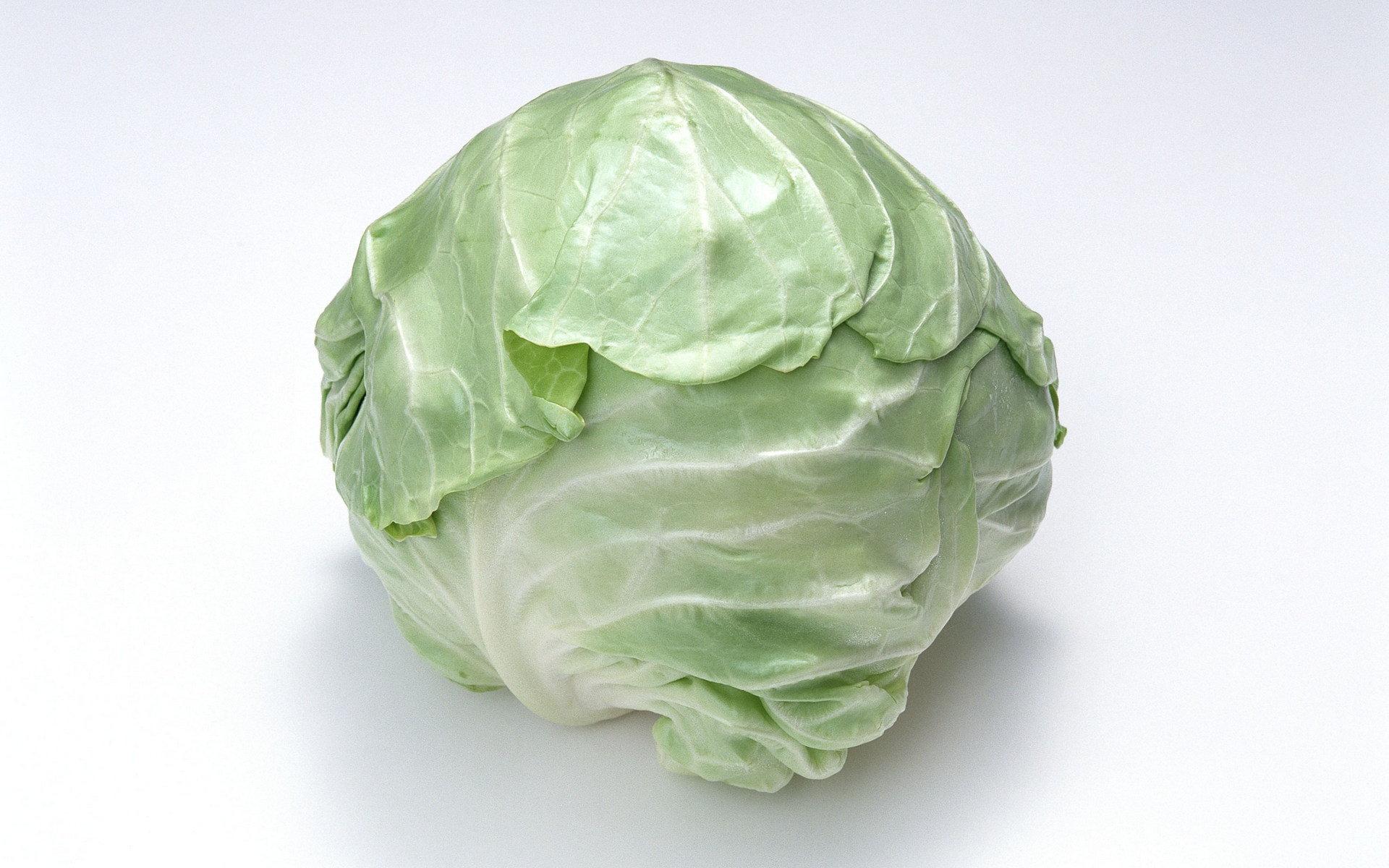 food, cabbage