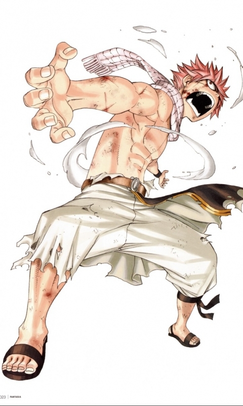 Baixar papel de parede para celular de Anime, Fairy Tail, Natsu Dragneel gratuito.