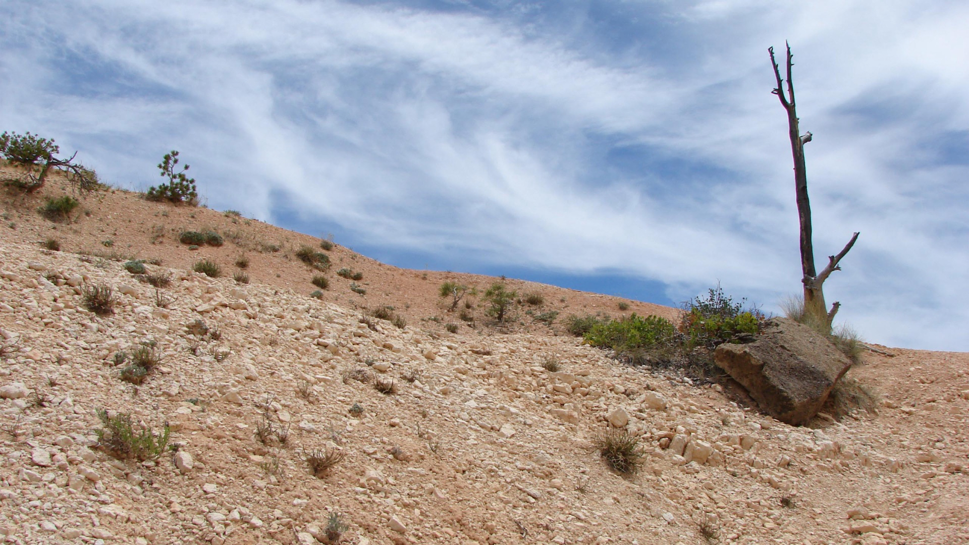 Скачати мобільні шпалери Пустеля, Земля безкоштовно.