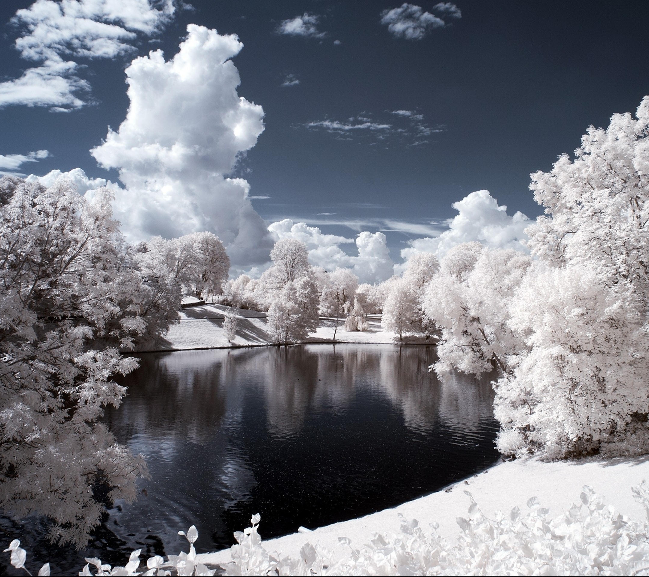 Descarga gratuita de fondo de pantalla para móvil de Invierno, Tierra/naturaleza.