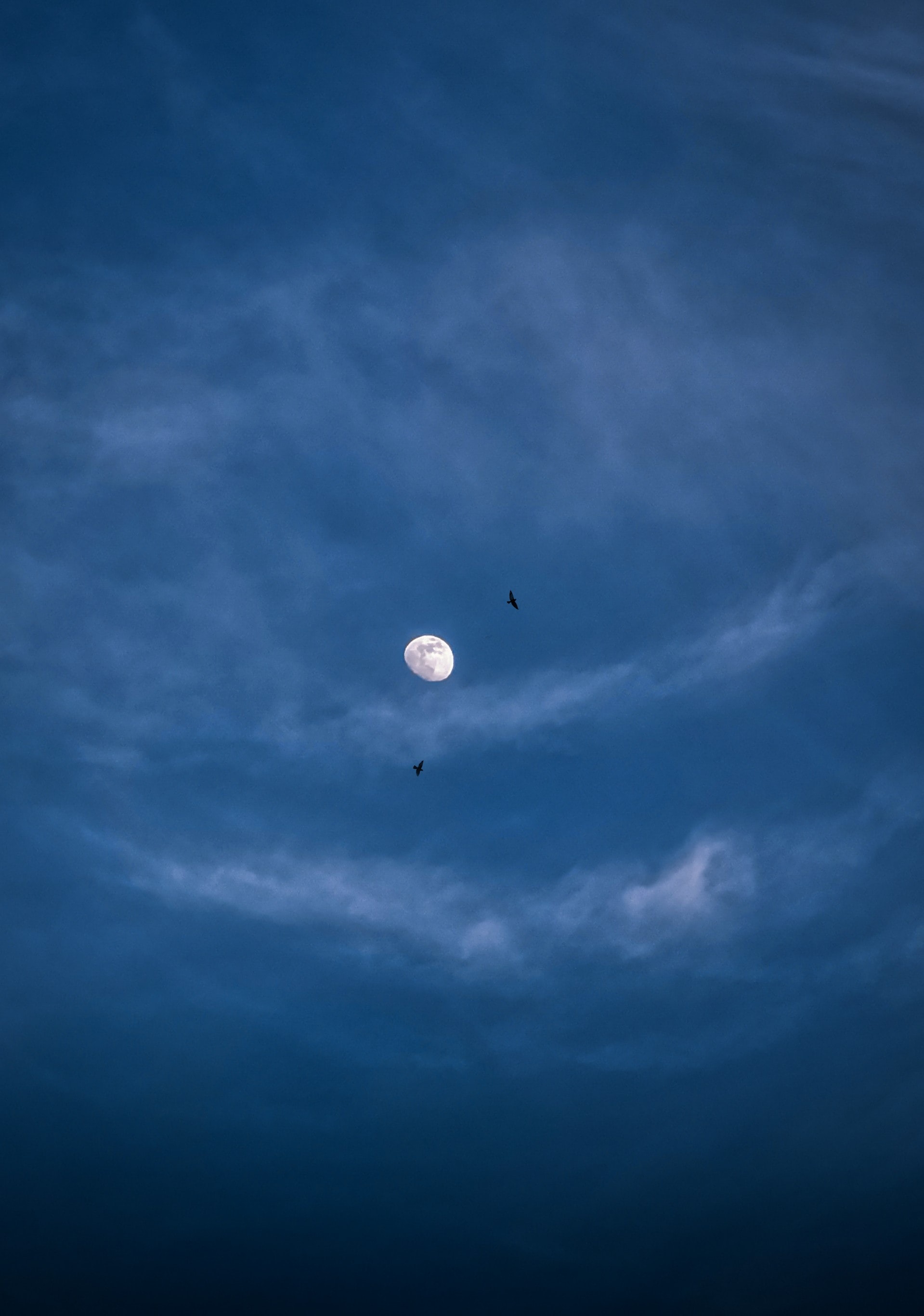PC Wallpapers clouds, nature, birds, night, moon