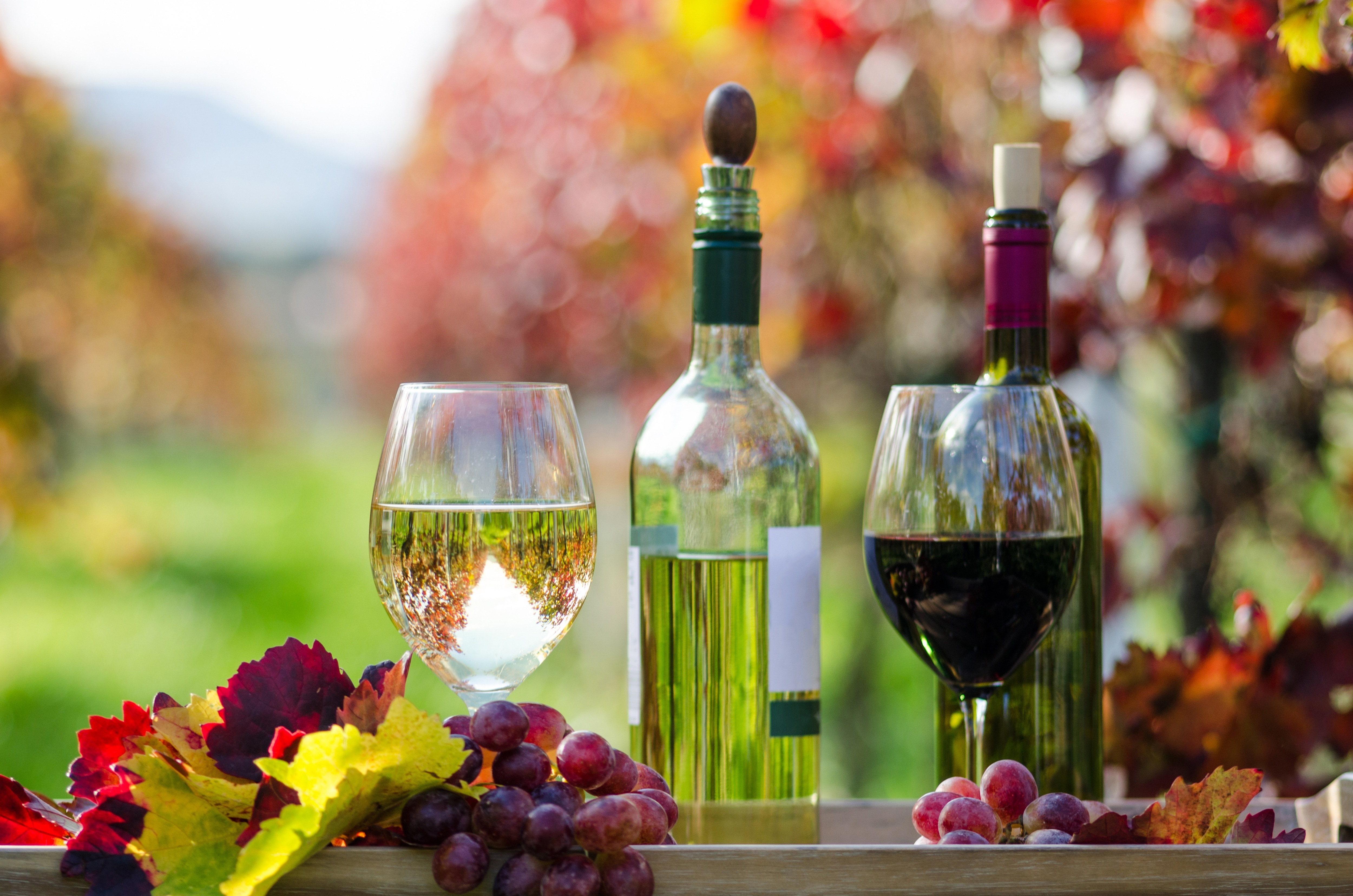 Download mobile wallpaper Food, Grapes, Still Life, Reflection, Glass, Bokeh, Wine for free.