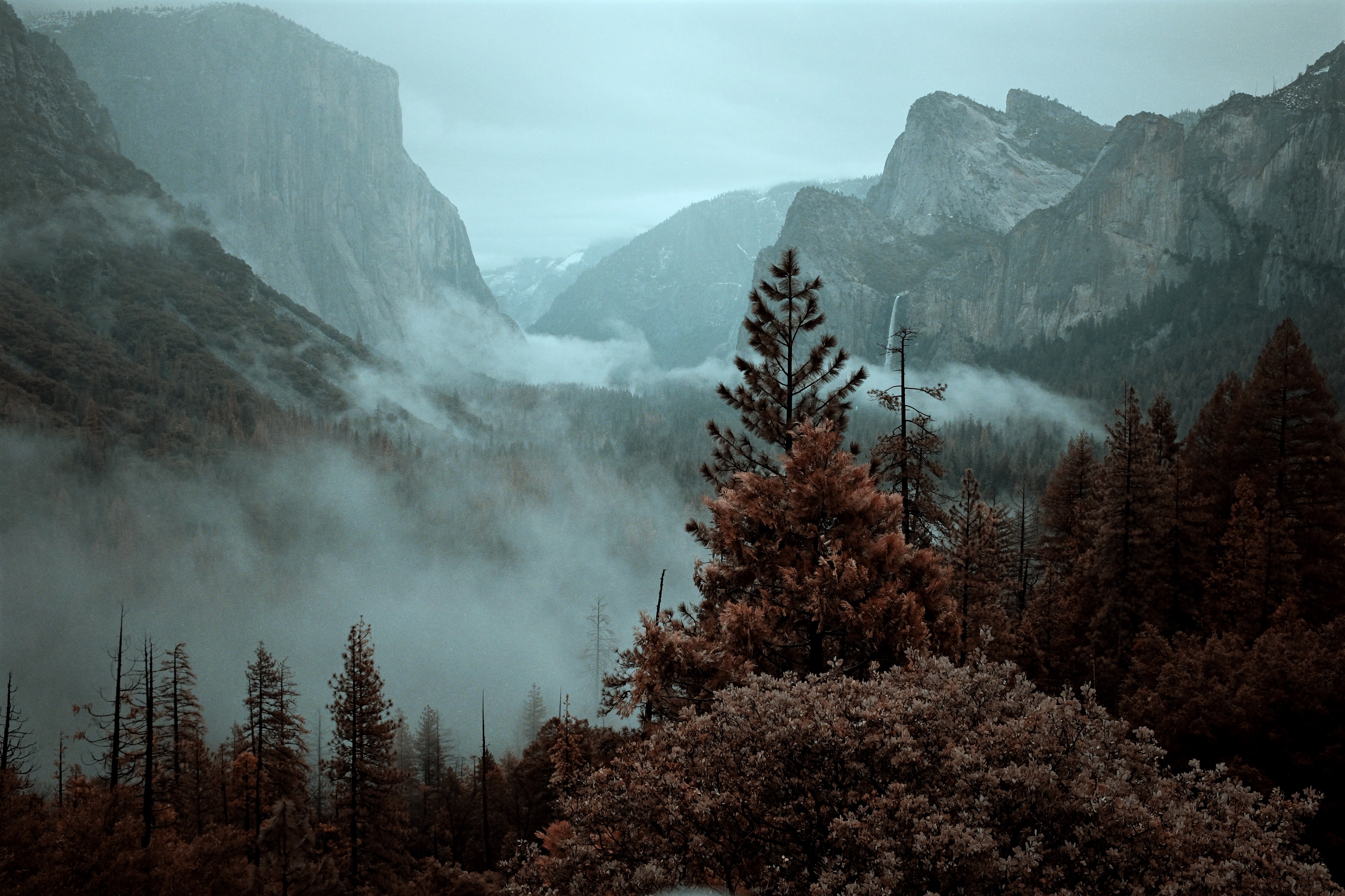 Handy-Wallpaper Nebel, Fichte, Fir, Natur, Bäume, Mountains kostenlos herunterladen.