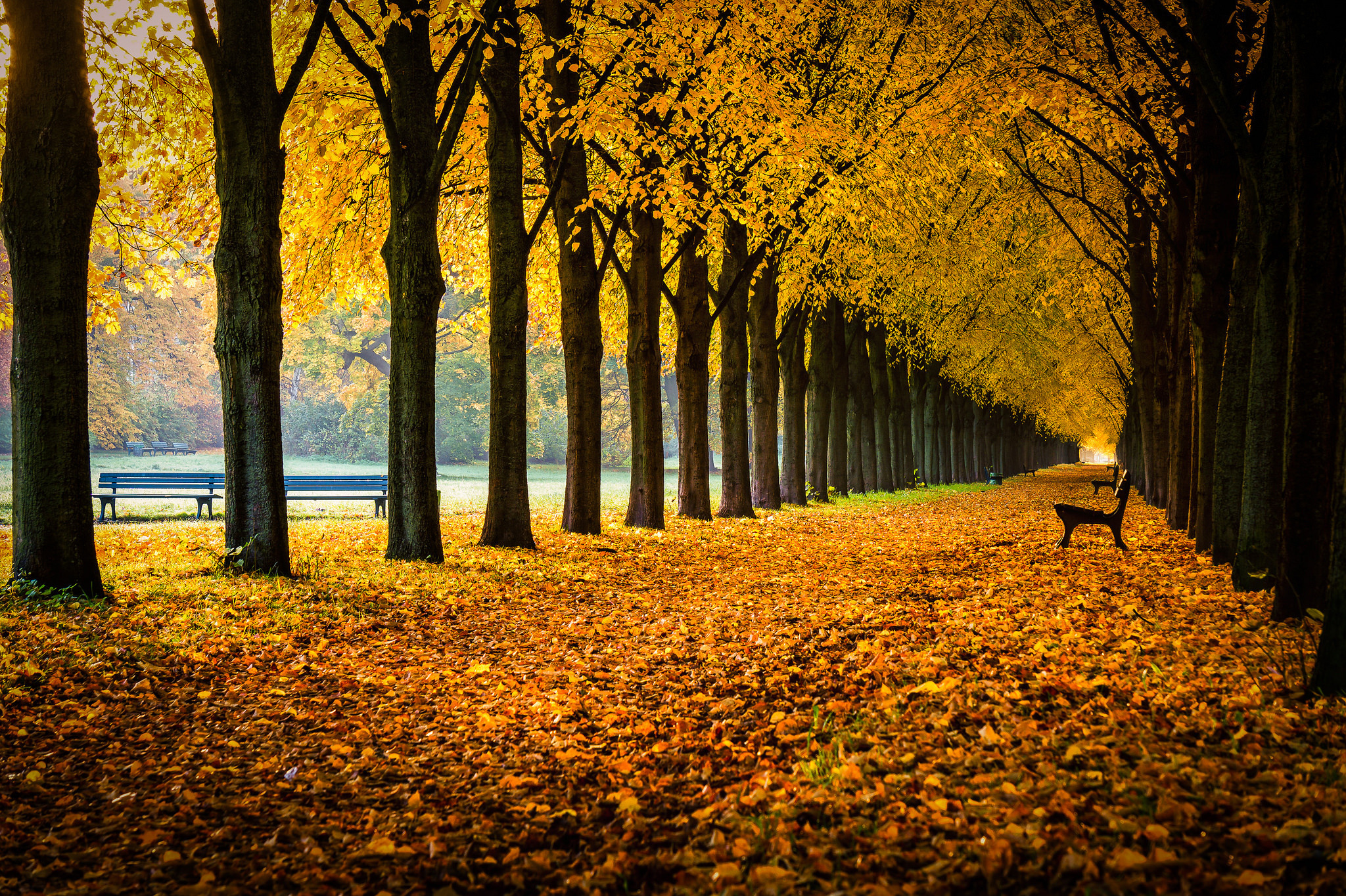 Скачать картинку Осень, Дорога, Парк, Скамейка, Фотографии в телефон бесплатно.