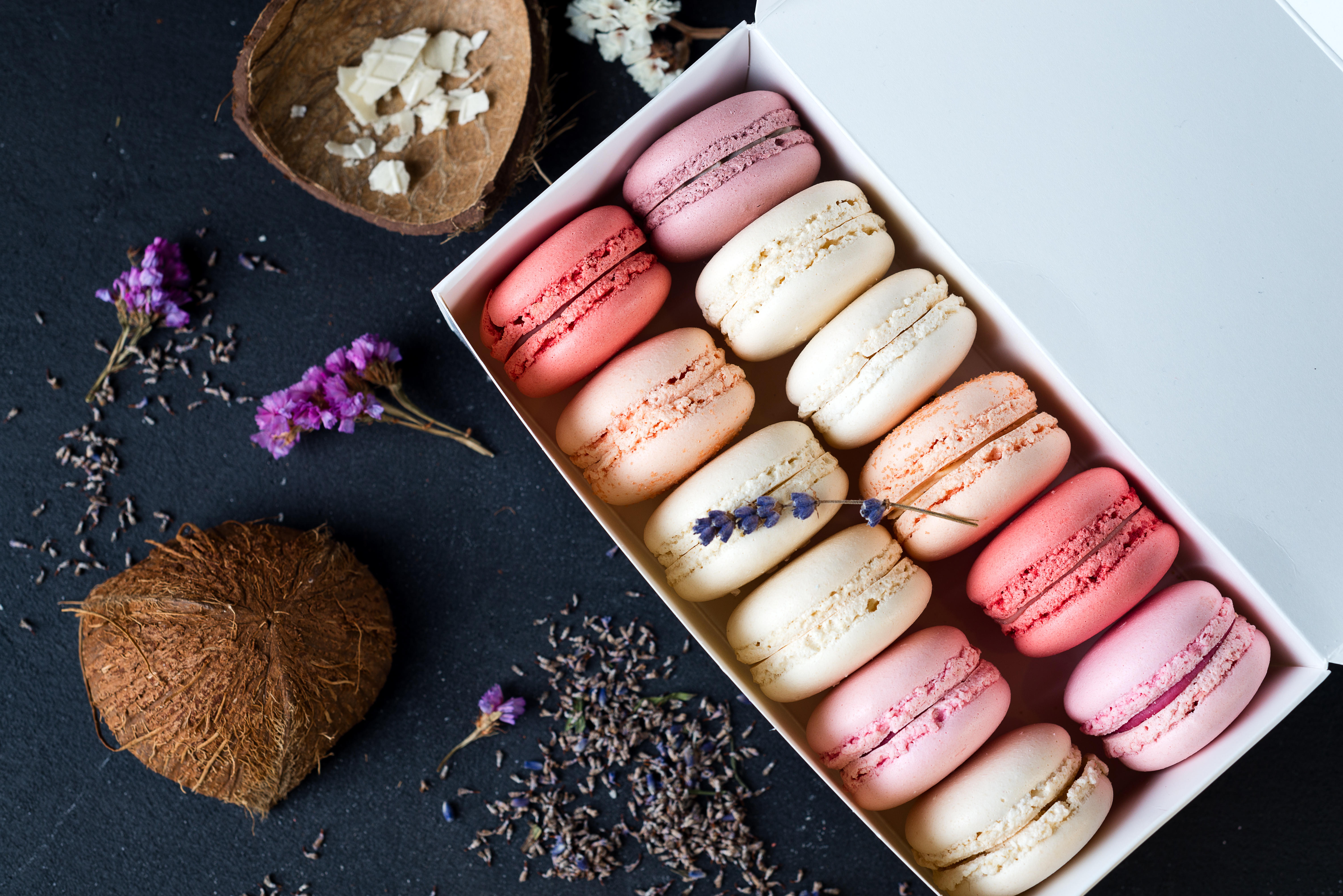 Baixe gratuitamente a imagem Comida, Natureza Morta, Macaron na área de trabalho do seu PC