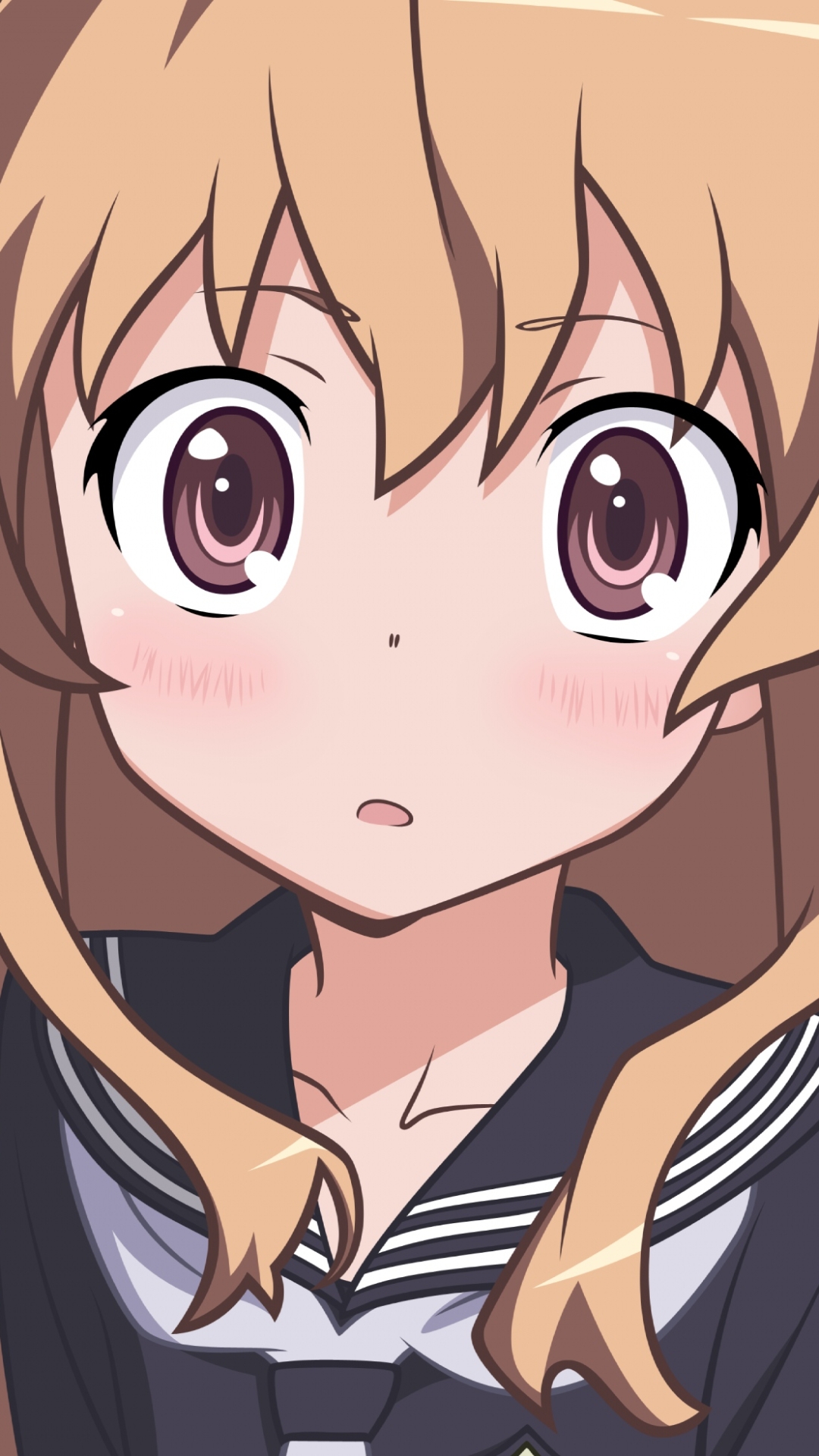 Handy-Wallpaper Animes, Toradora!, Taiga Aisaka kostenlos herunterladen.