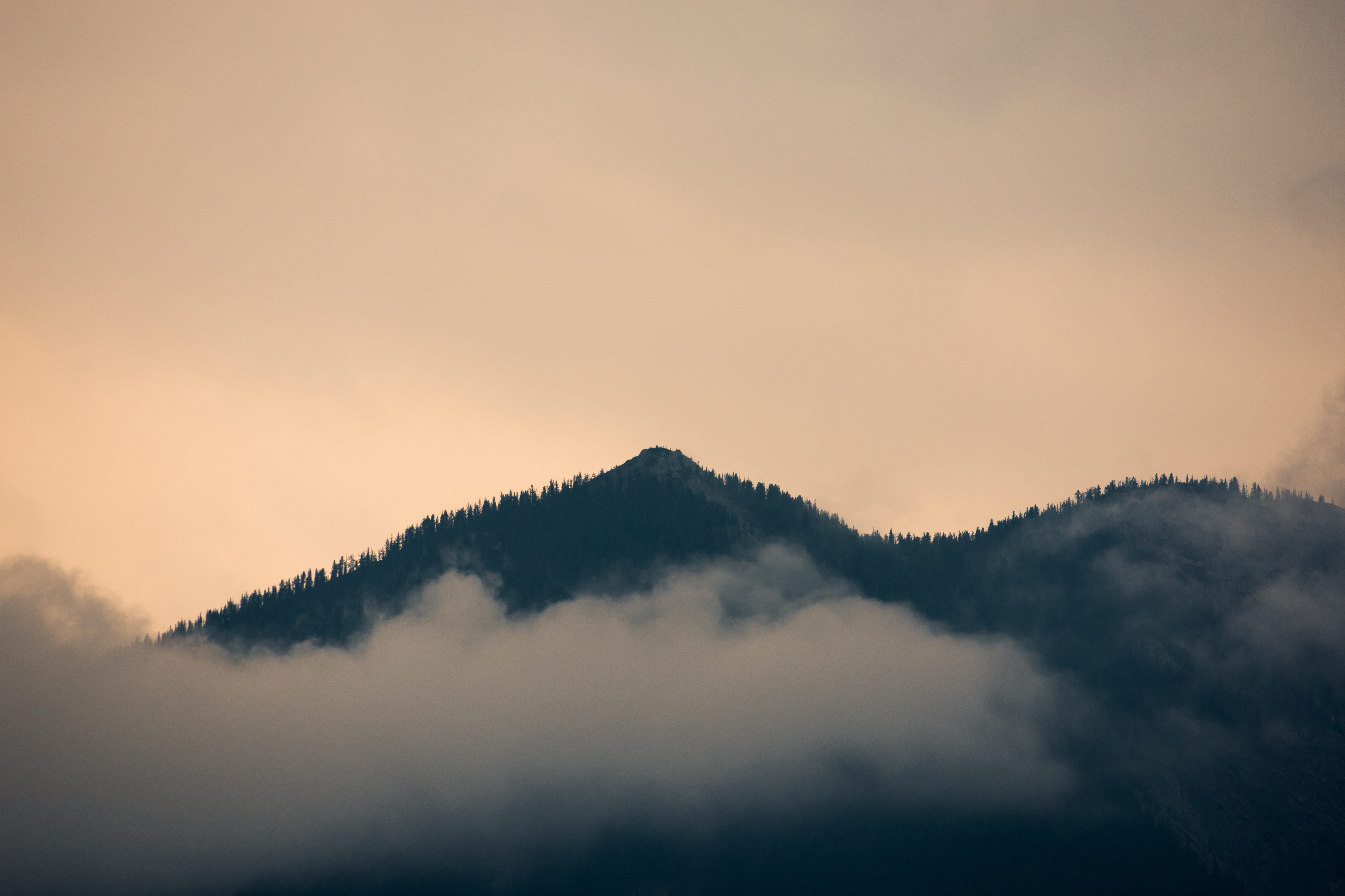 PCデスクトップに丘, 自然, 森, 霧, 森林画像を無料でダウンロード