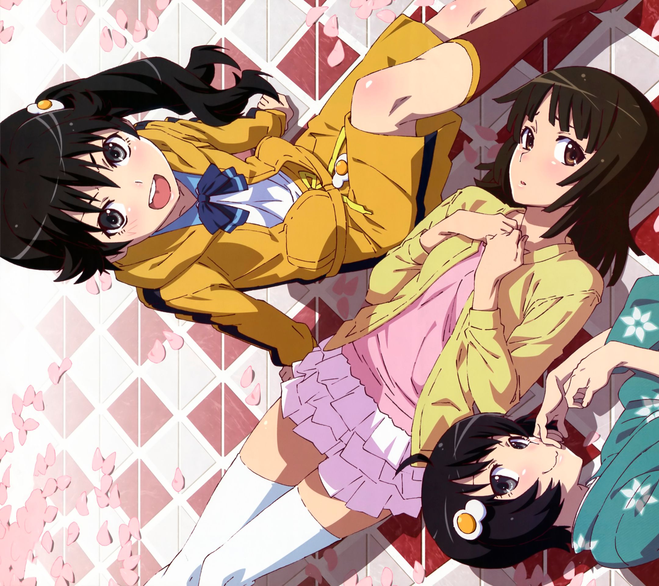 Download mobile wallpaper Anime, Monogatari (Series), Nadeko Sengoku, Karen Araragi, Tsukihi Araragi for free.