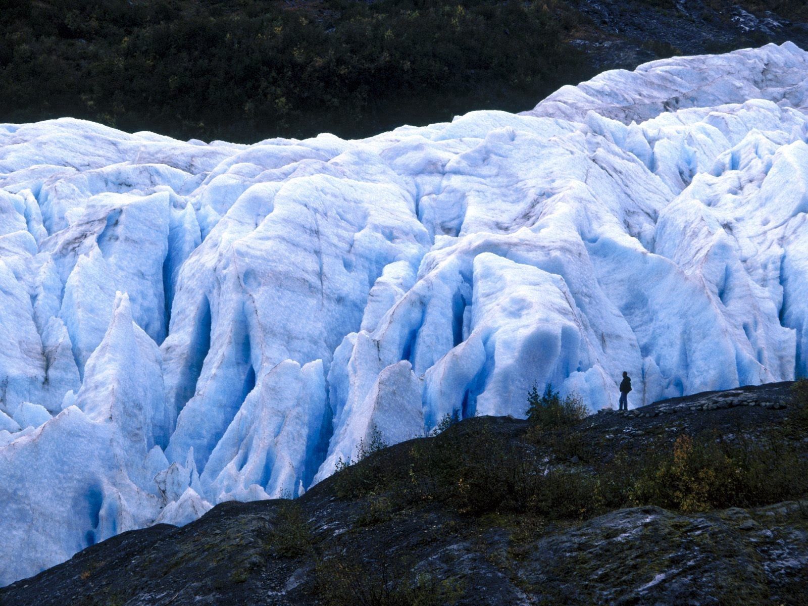 Скачать картинку Ледник, Холод, Аляска, Природа, Человек в телефон бесплатно.