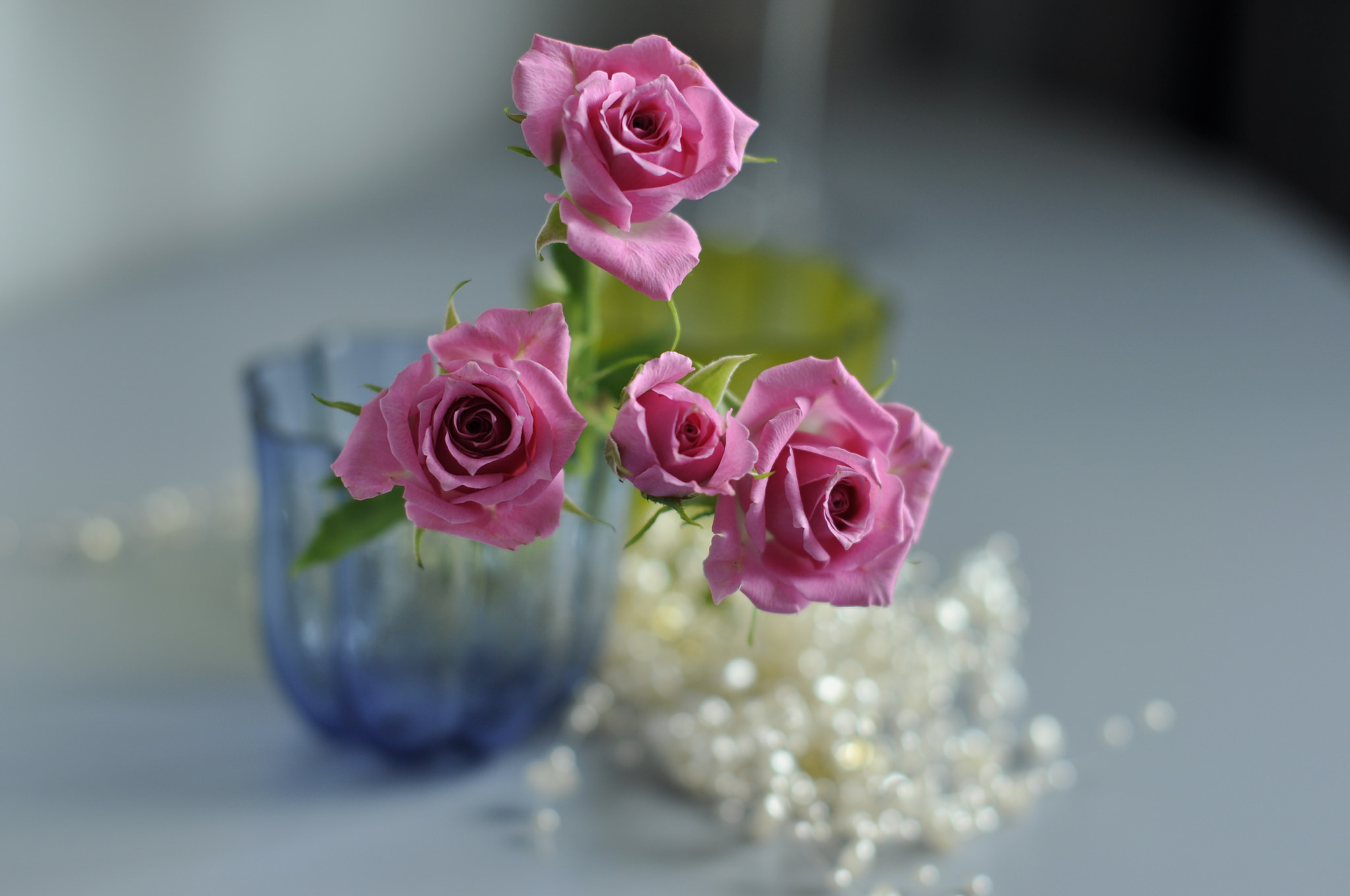 51097 завантажити шпалери роза, квіти, макро, макрос, троянда, розмитість, гладкою, ваза - заставки і картинки безкоштовно