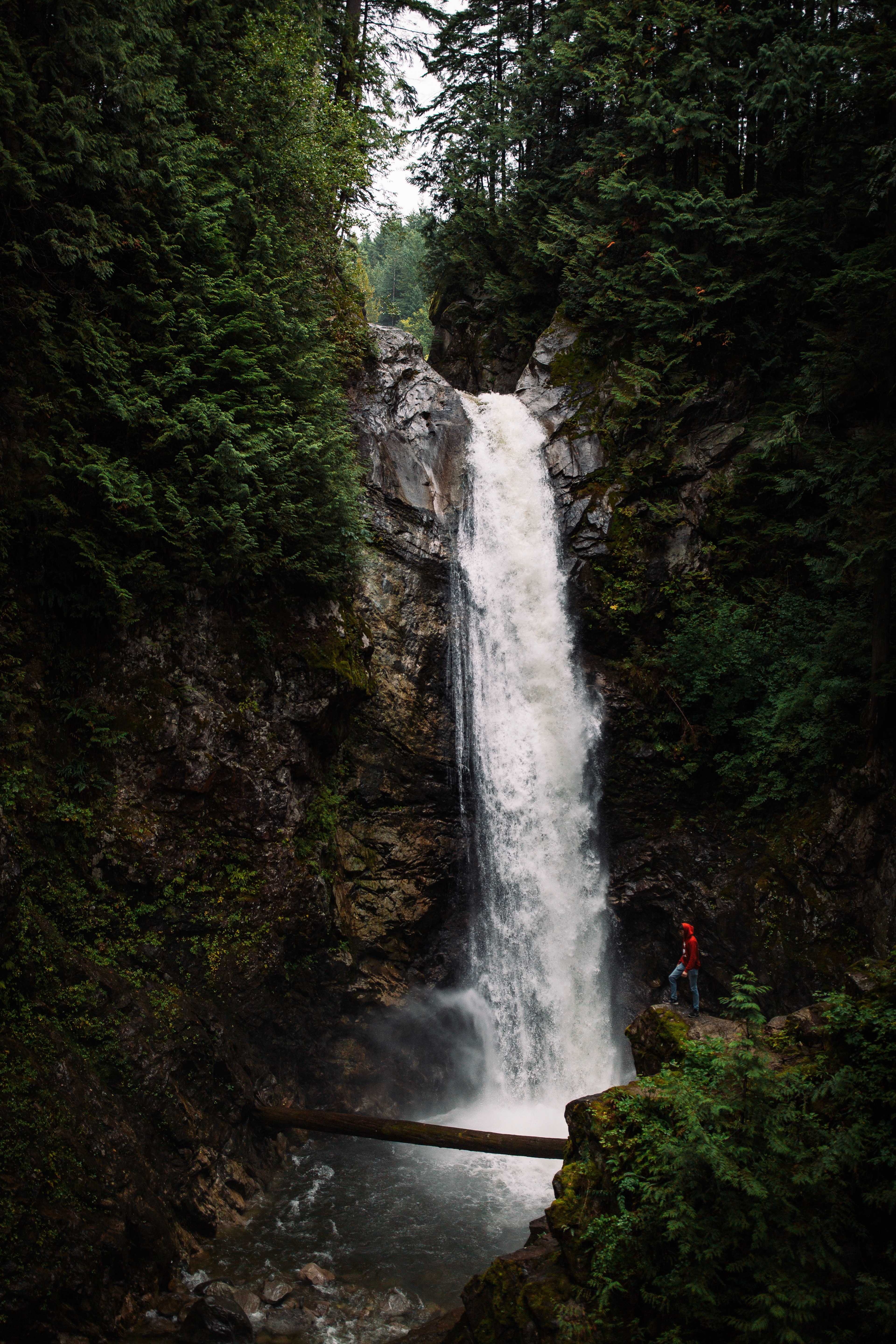 nature, water, waterfall, break, precipice, flow, stream