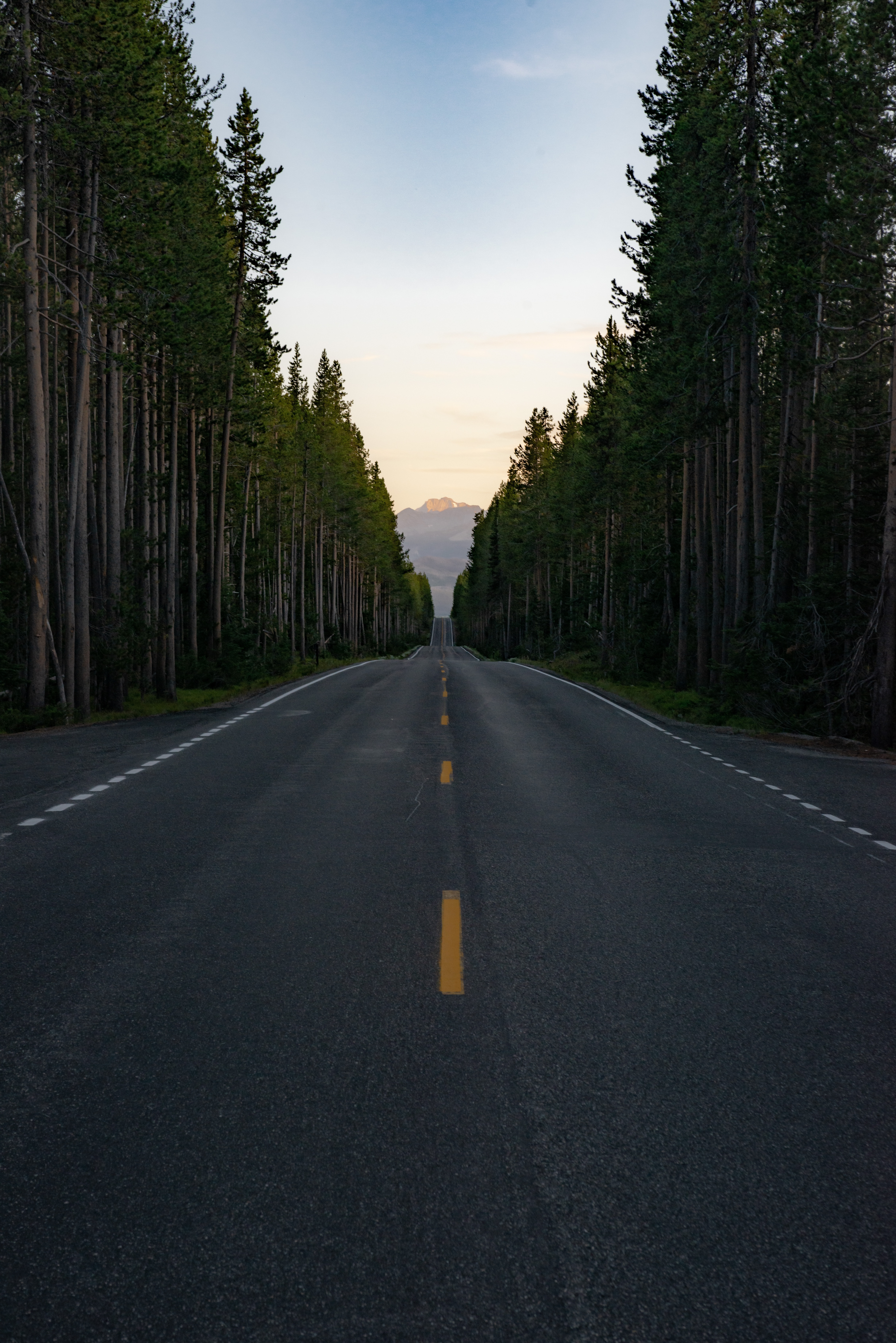 Download mobile wallpaper Top, Vertex, Road, Trees, Mountain, Nature for free.
