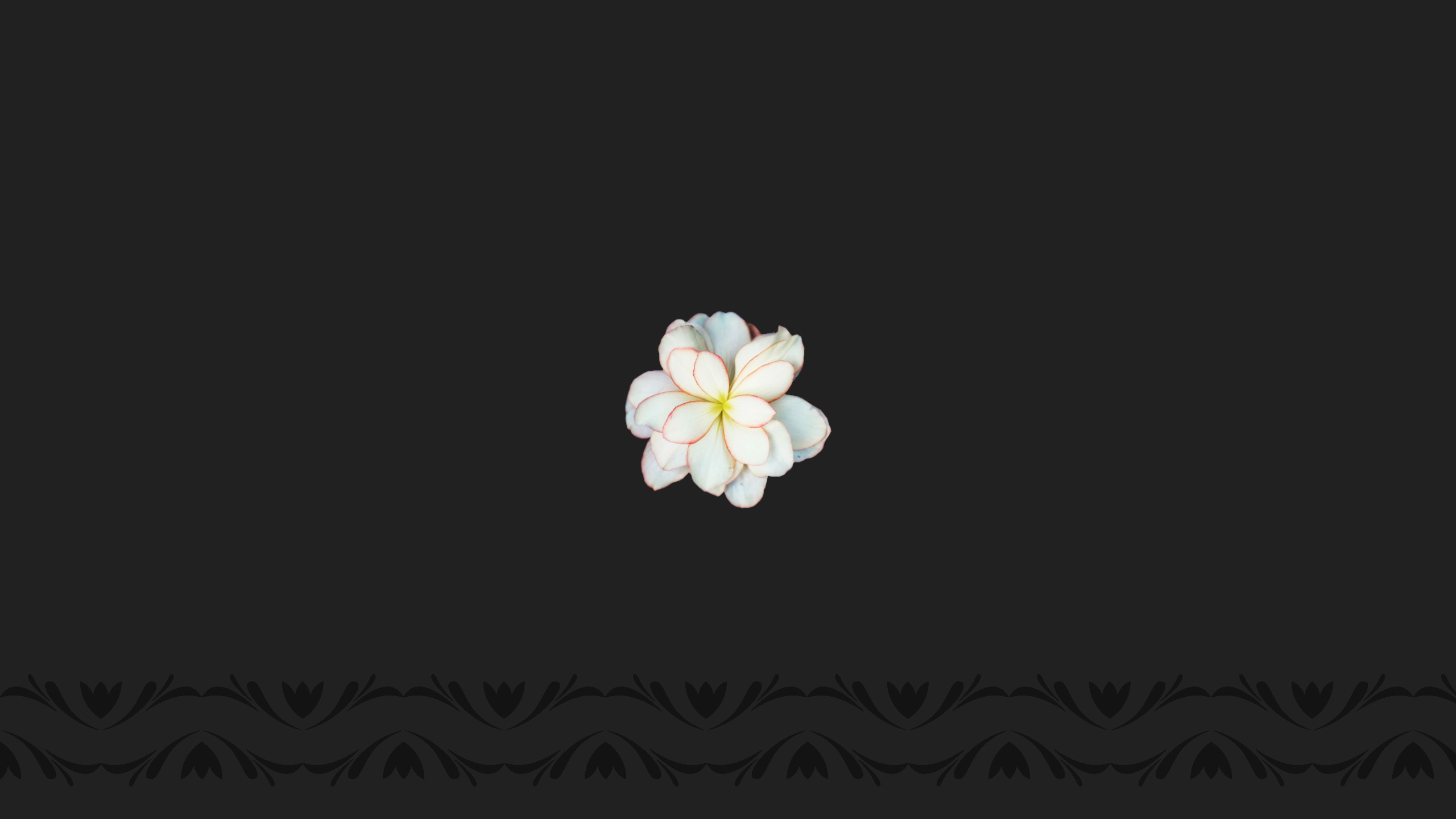 Download mobile wallpaper Flowers, Flower, Artistic, Frangipani for free.