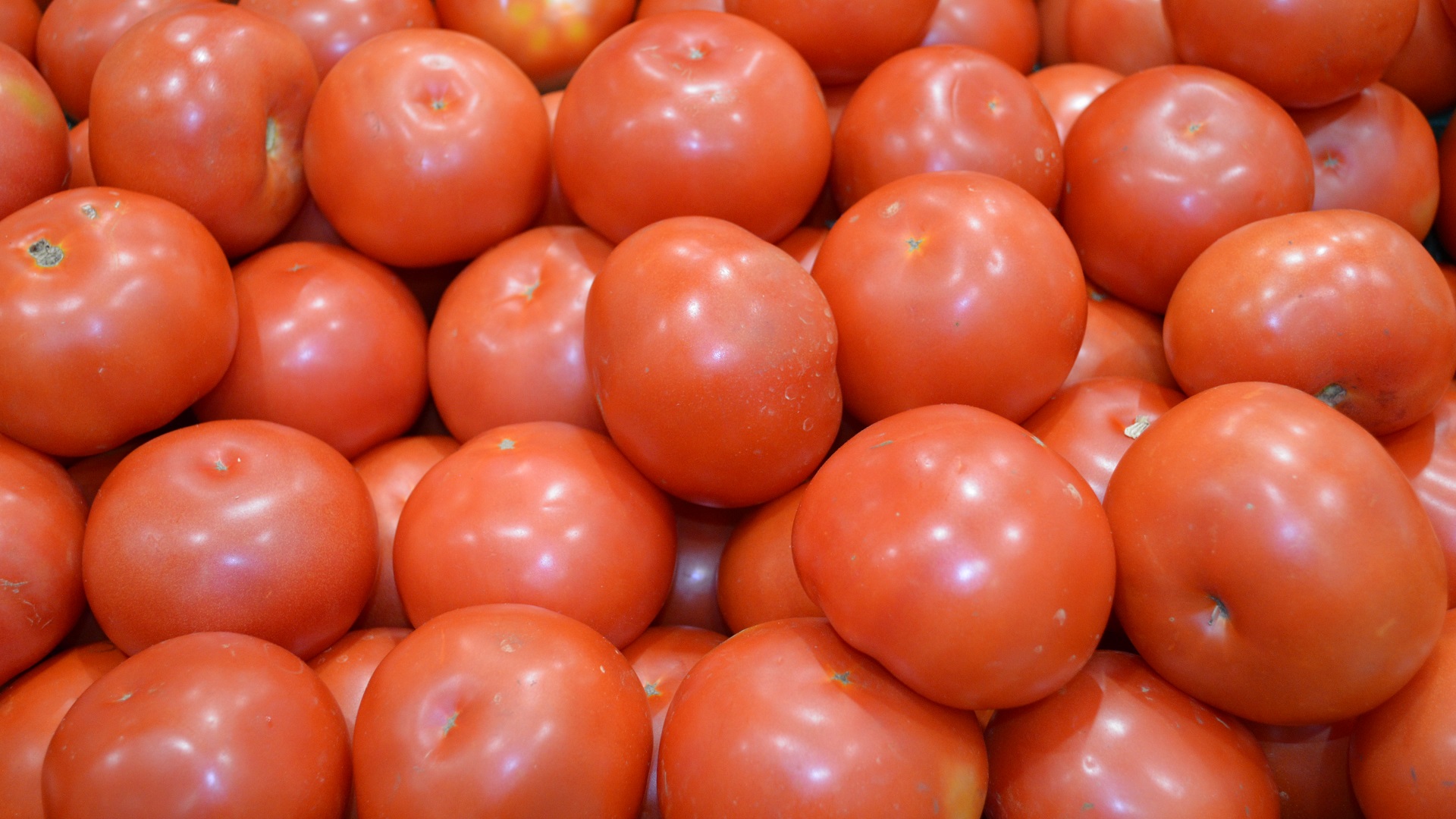 Handy-Wallpaper Tomate, Frucht, Früchte, Nahrungsmittel kostenlos herunterladen.