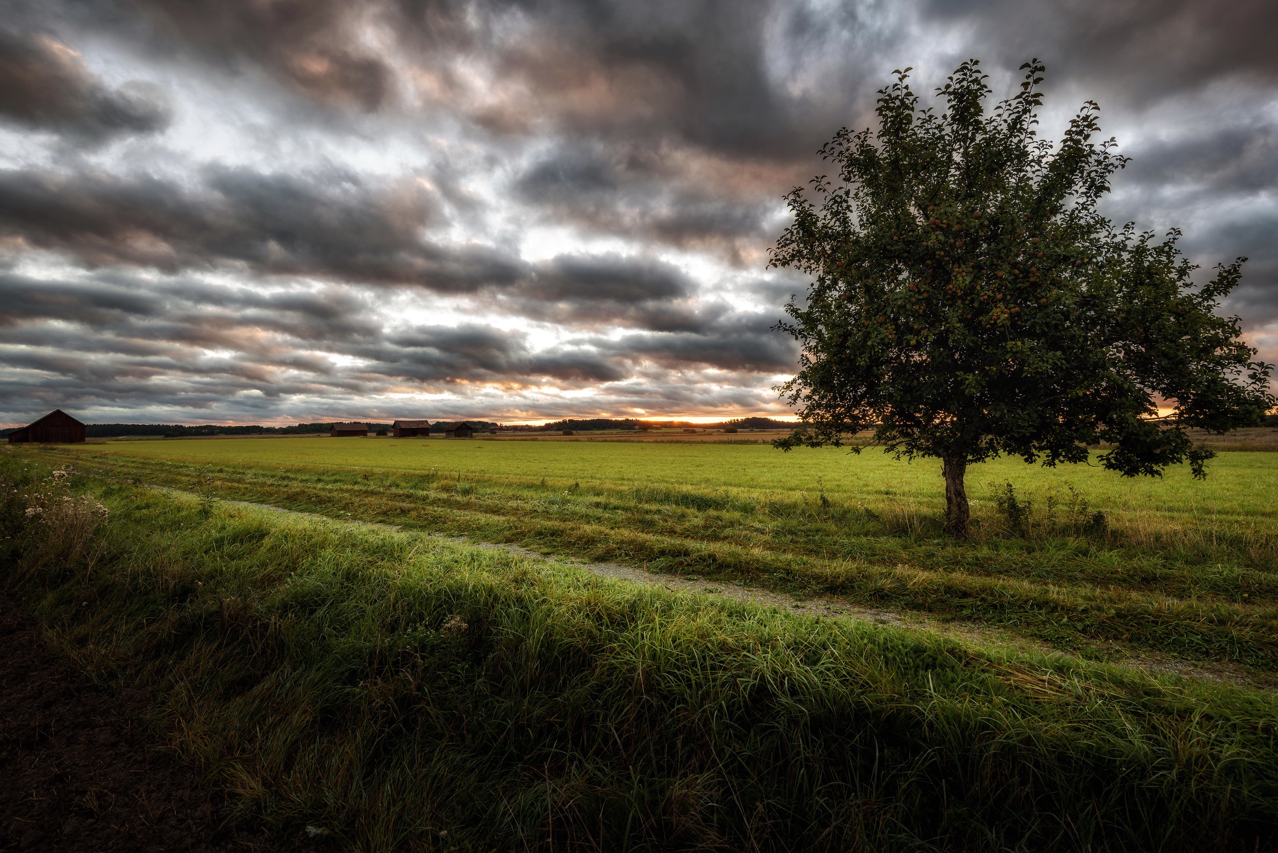 Download mobile wallpaper Landscape, Sky, Tree, Field, Cloud, Photography, Lonely Tree for free.