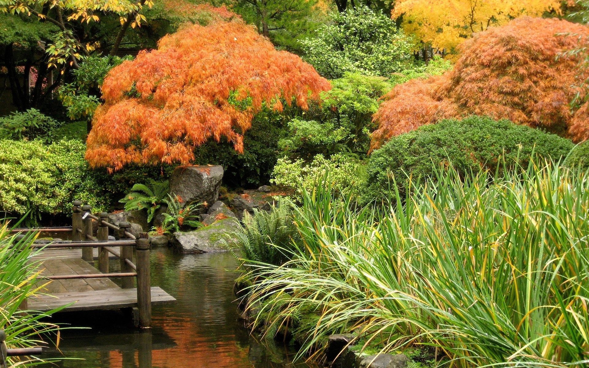 80259 скачать обои пруд, природа, осень, деревья, мостик - заставки и картинки бесплатно