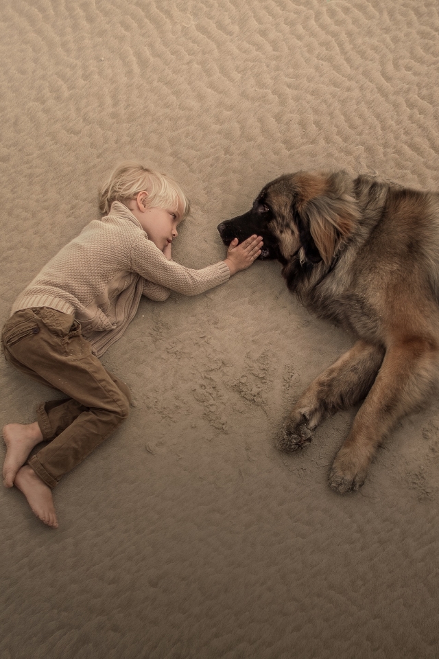 photography, child, lying down, little boy, dog, leonberger, sand HD wallpaper