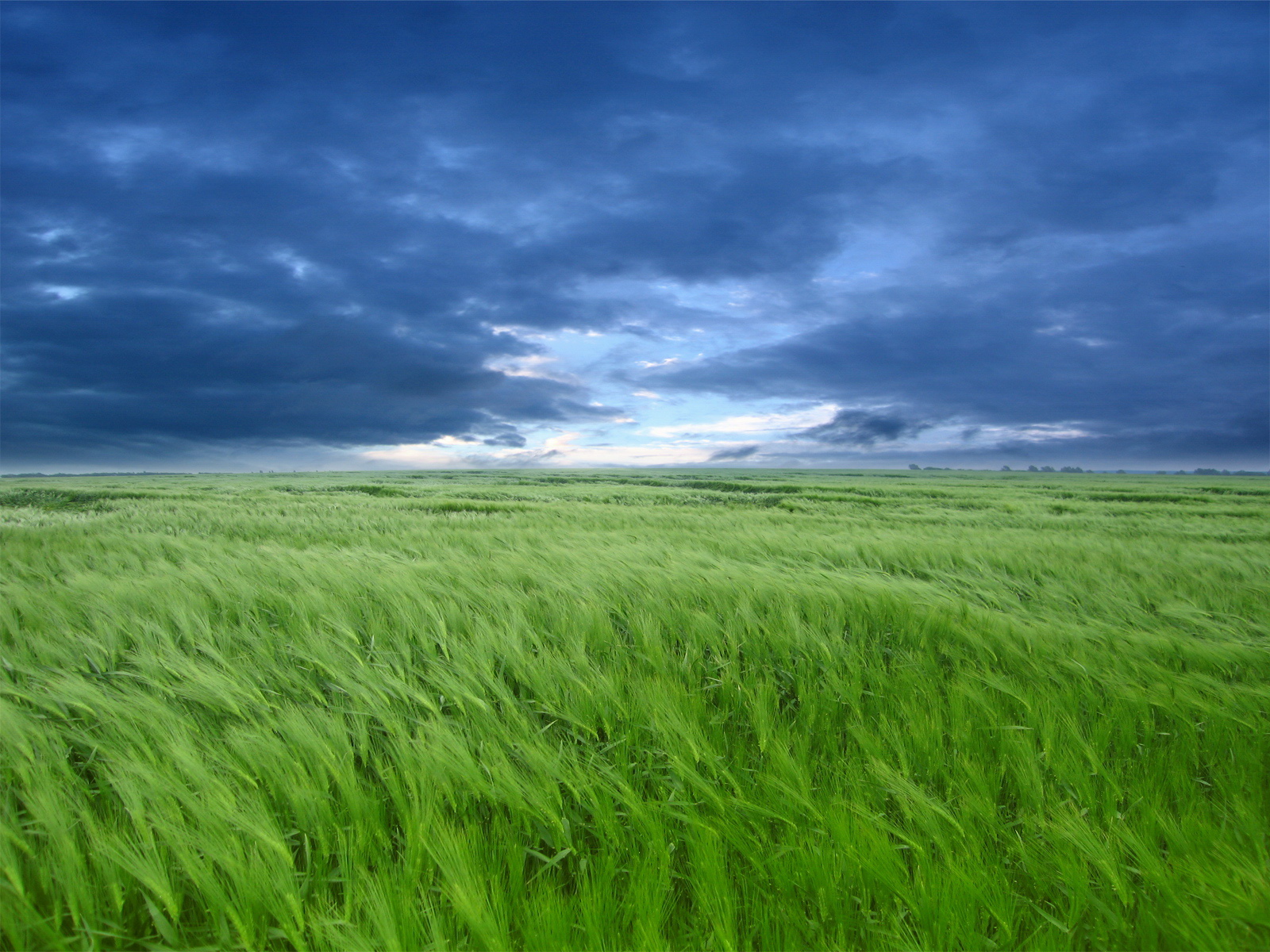 Descarga gratuita de fondo de pantalla para móvil de Campo, Tierra/naturaleza.