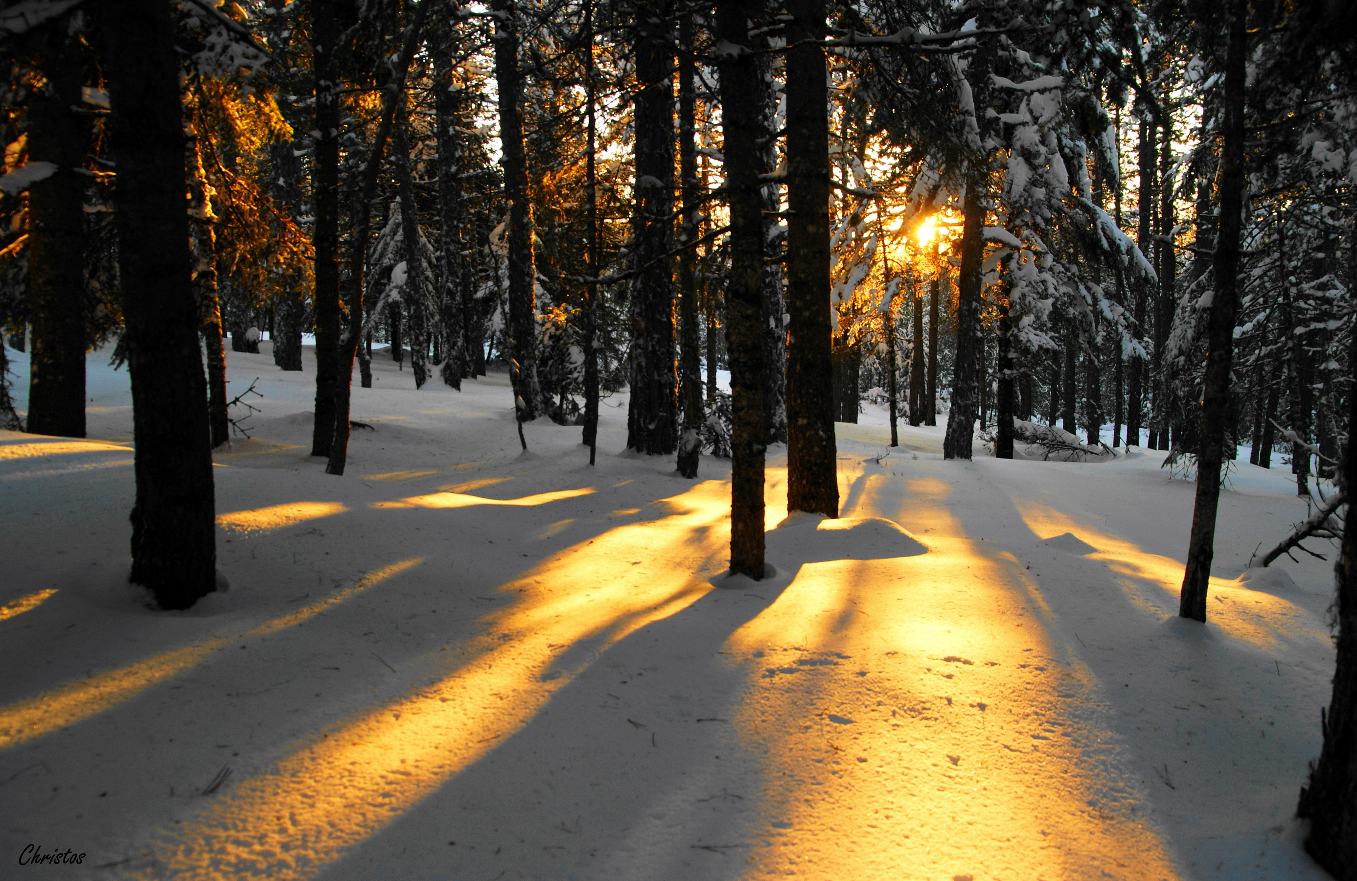 Baixe gratuitamente a imagem Inverno, Fotografia na área de trabalho do seu PC