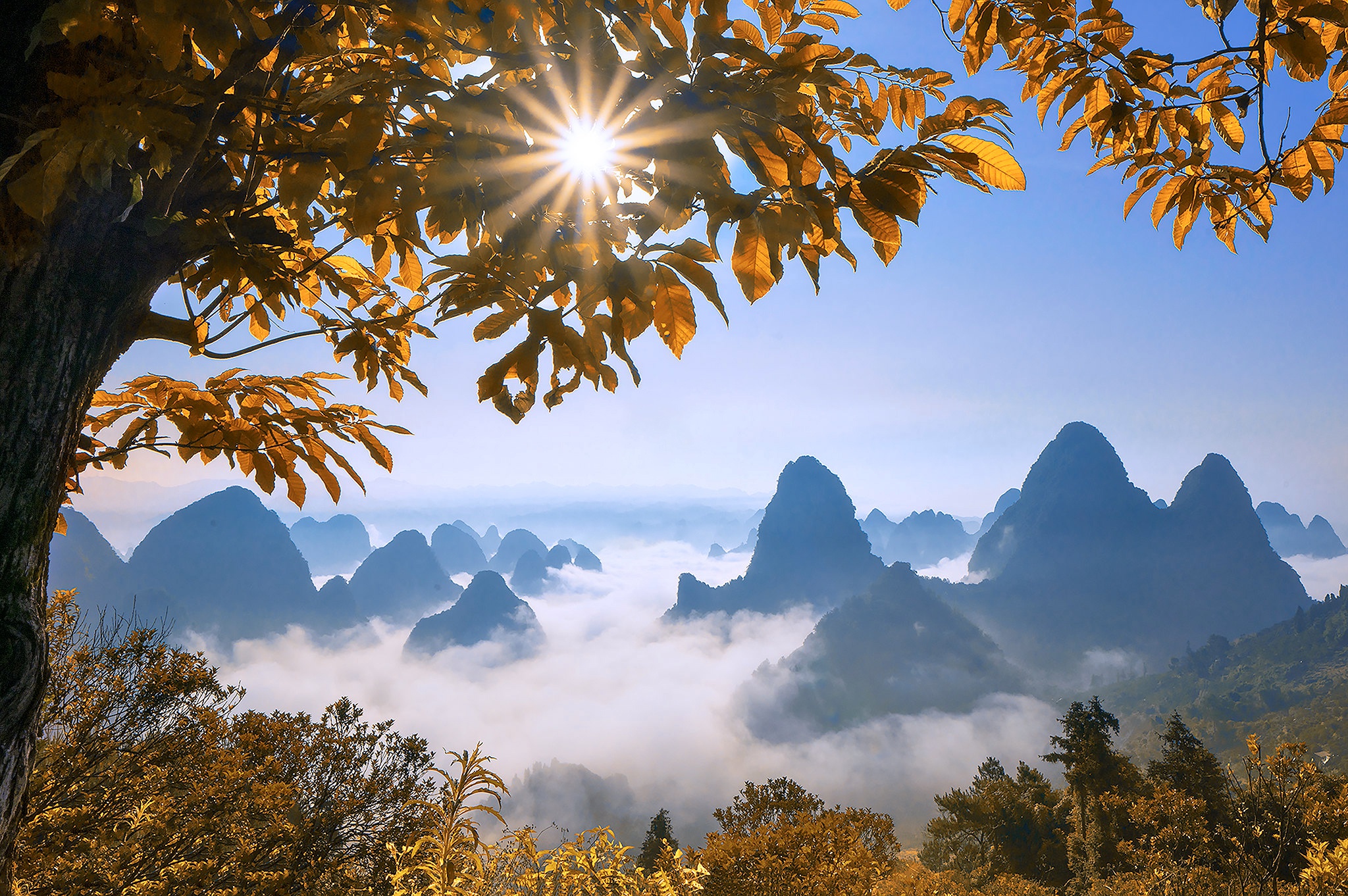 Laden Sie das Nebel, Blatt, Gebirge, Wolke, Sonne, Erde/natur-Bild kostenlos auf Ihren PC-Desktop herunter