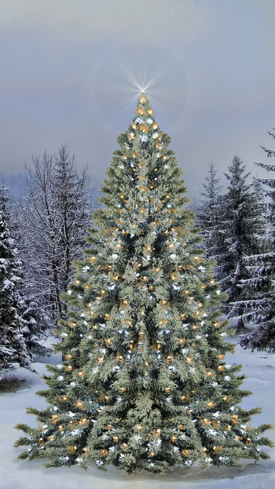 Download mobile wallpaper Moon, Snow, Forest, Christmas, Holiday, Christmas Tree, Star for free.