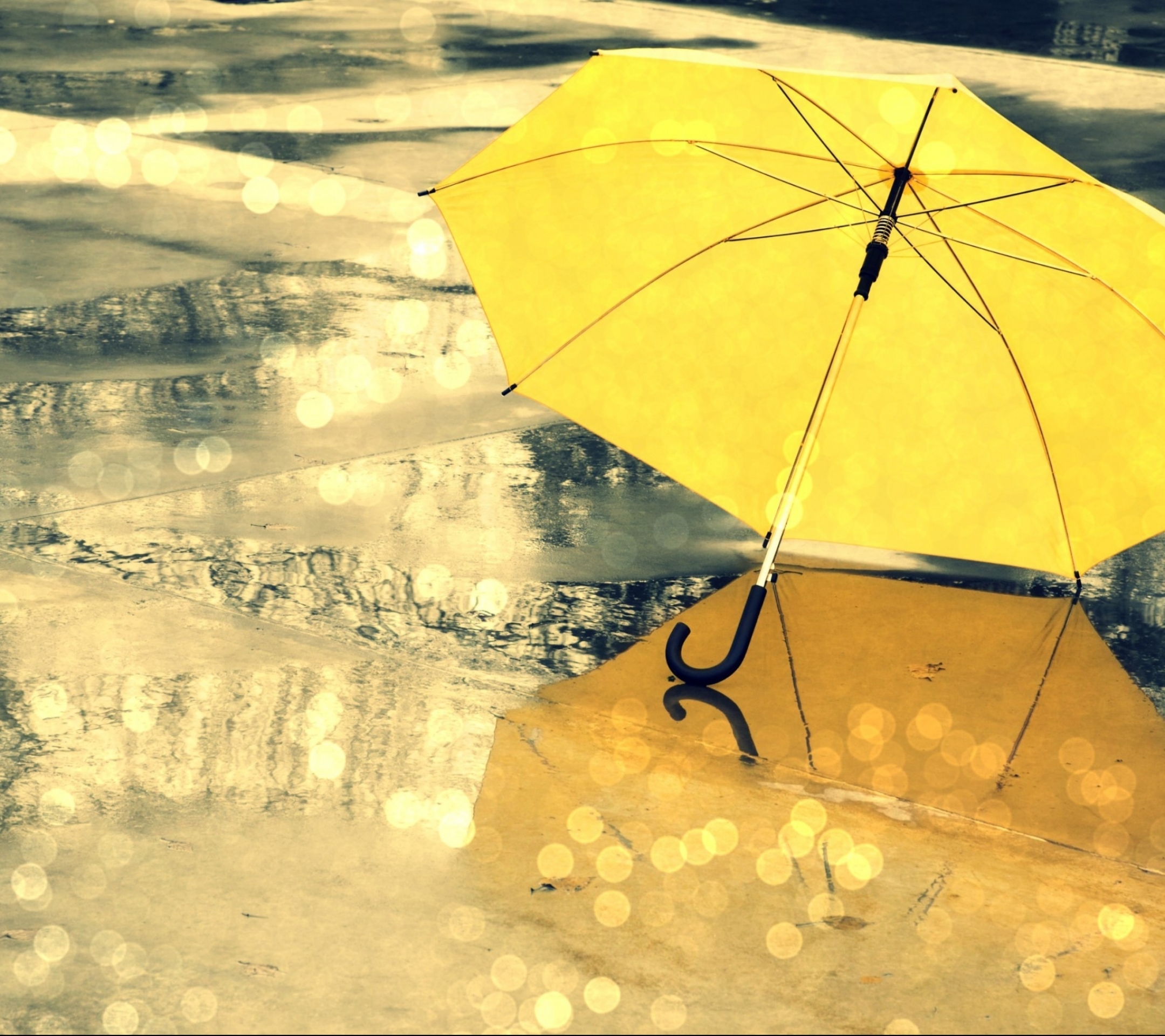 Free download wallpaper Umbrella, Photography on your PC desktop