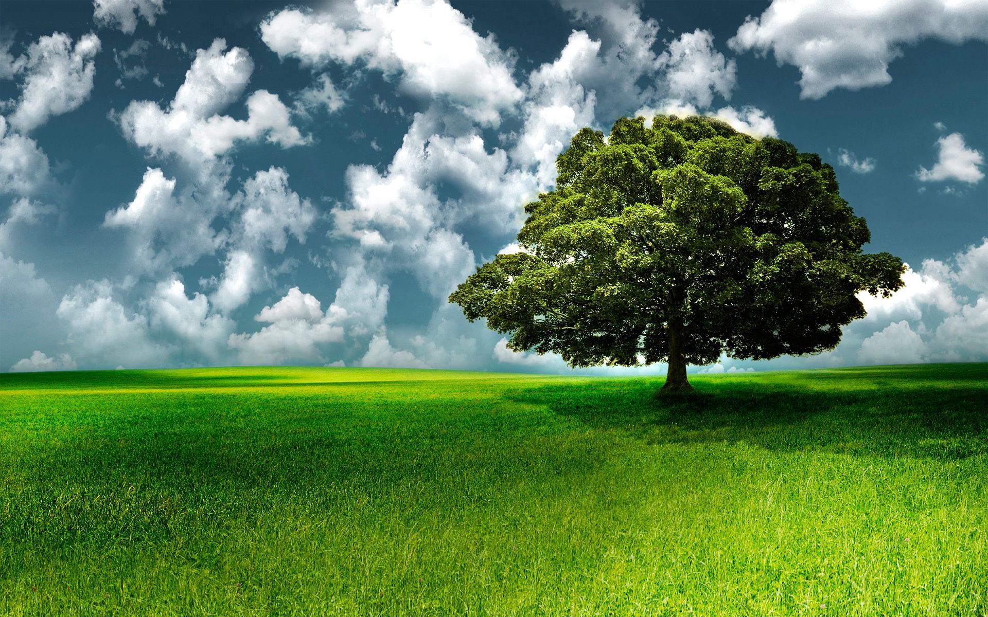 Free download wallpaper Nature, Grass, Sky, Clouds, Tree, Wood on your PC desktop