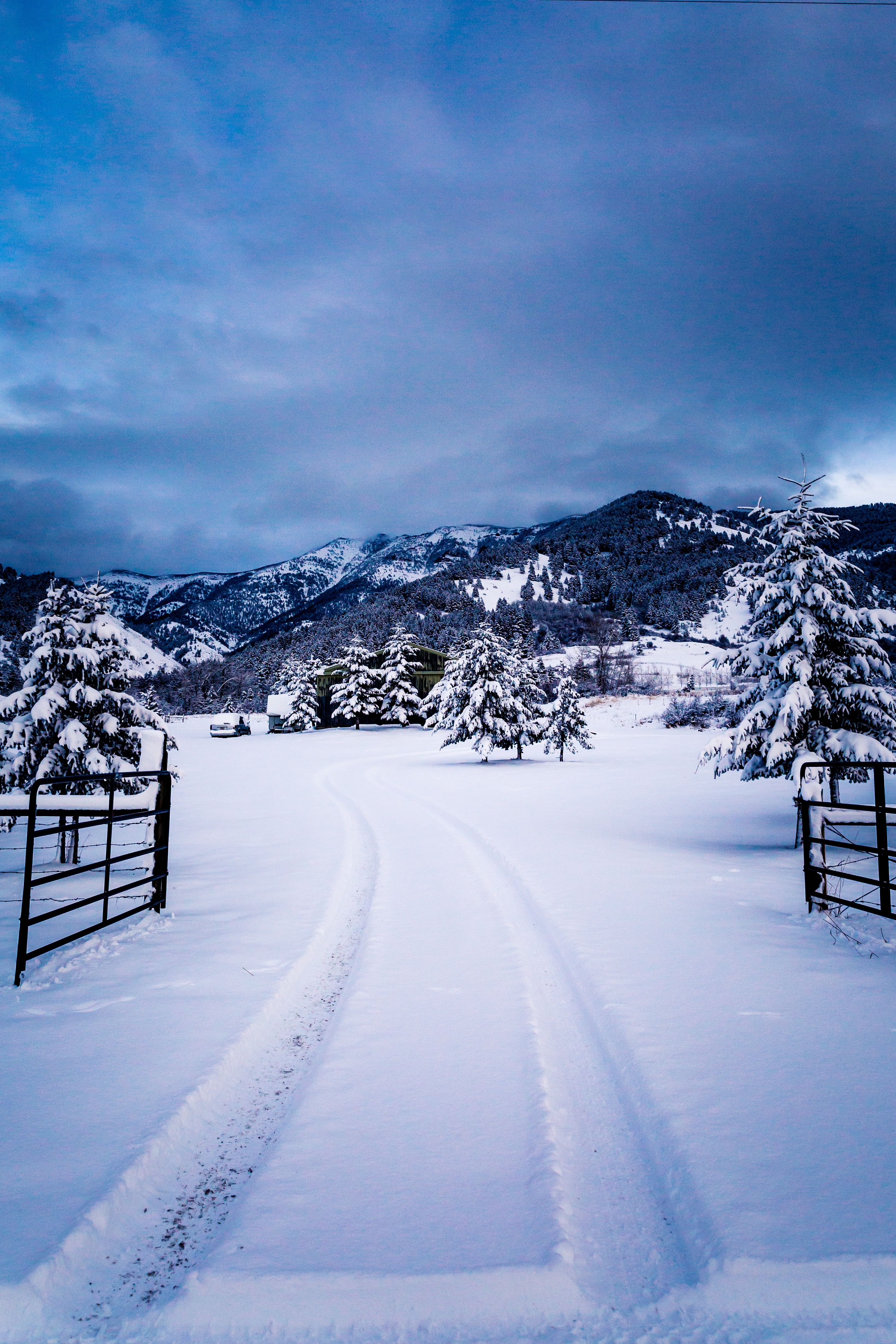 Descarga gratis la imagen Invierno, Árboles, Montañas, Nieve, Naturaleza en el escritorio de tu PC