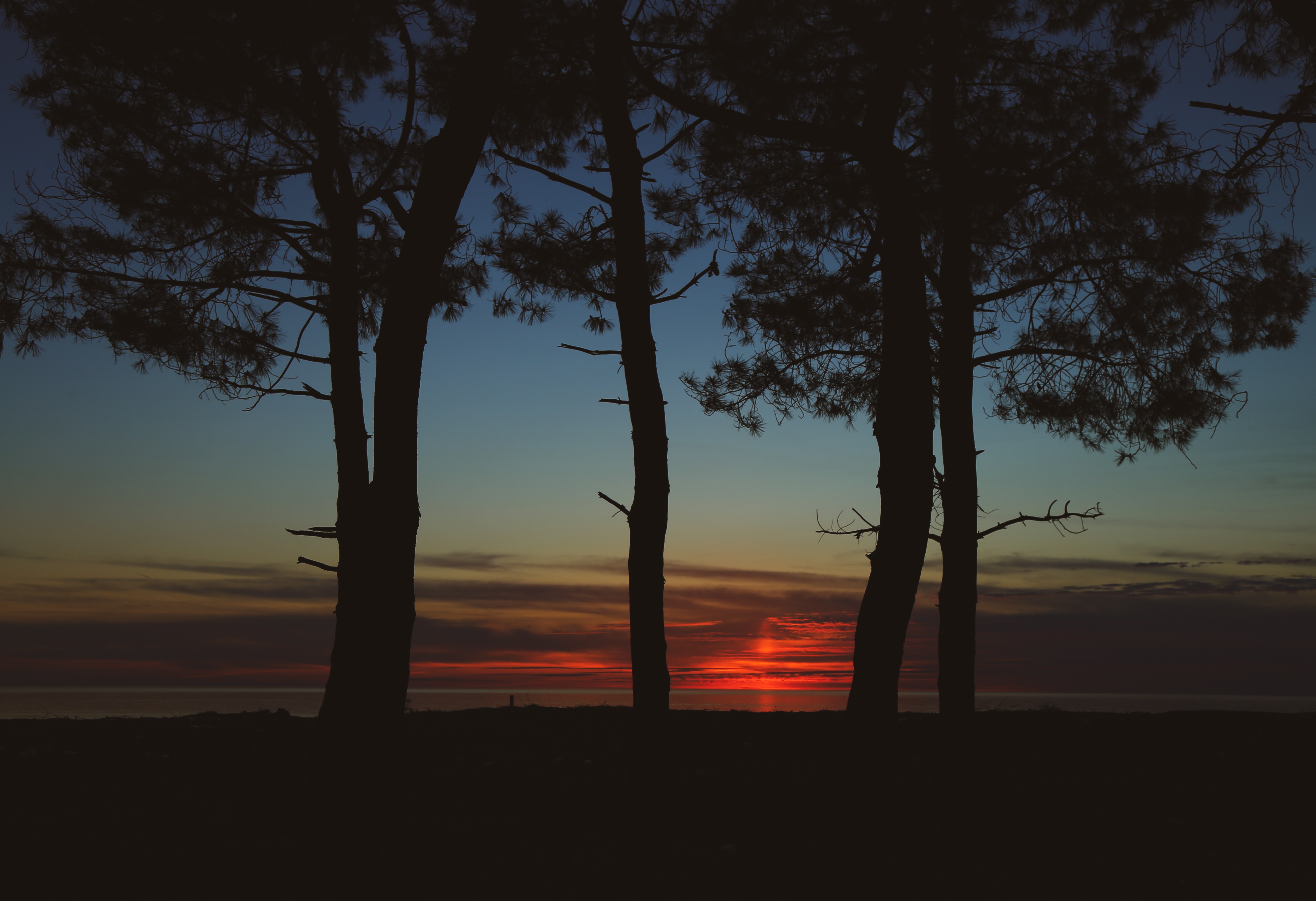 150408 Hintergrundbild herunterladen bäume, sunset, dunkel, dämmerung, twilight, umrisse, umreißt - Bildschirmschoner und Bilder kostenlos