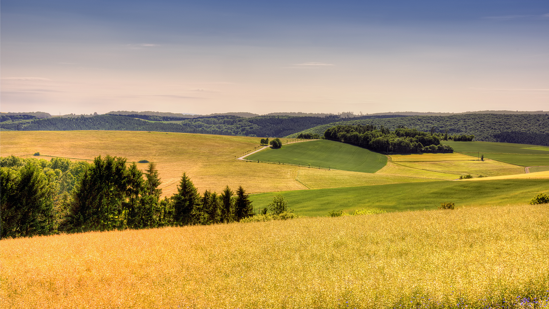 Handy-Wallpaper Feld, Erde/natur kostenlos herunterladen.