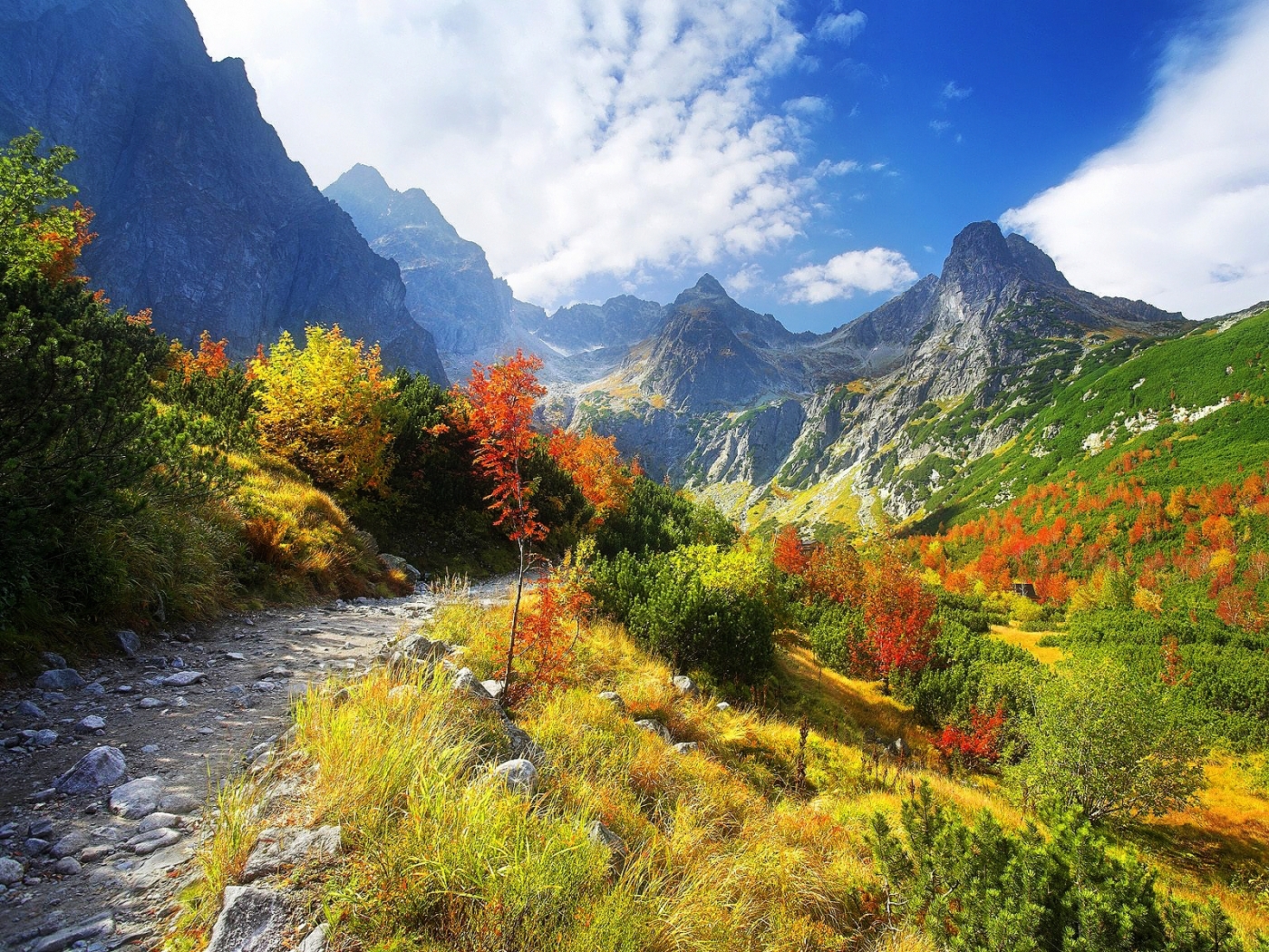 Laden Sie das Bäume, Landschaft, Mountains-Bild kostenlos auf Ihren PC-Desktop herunter