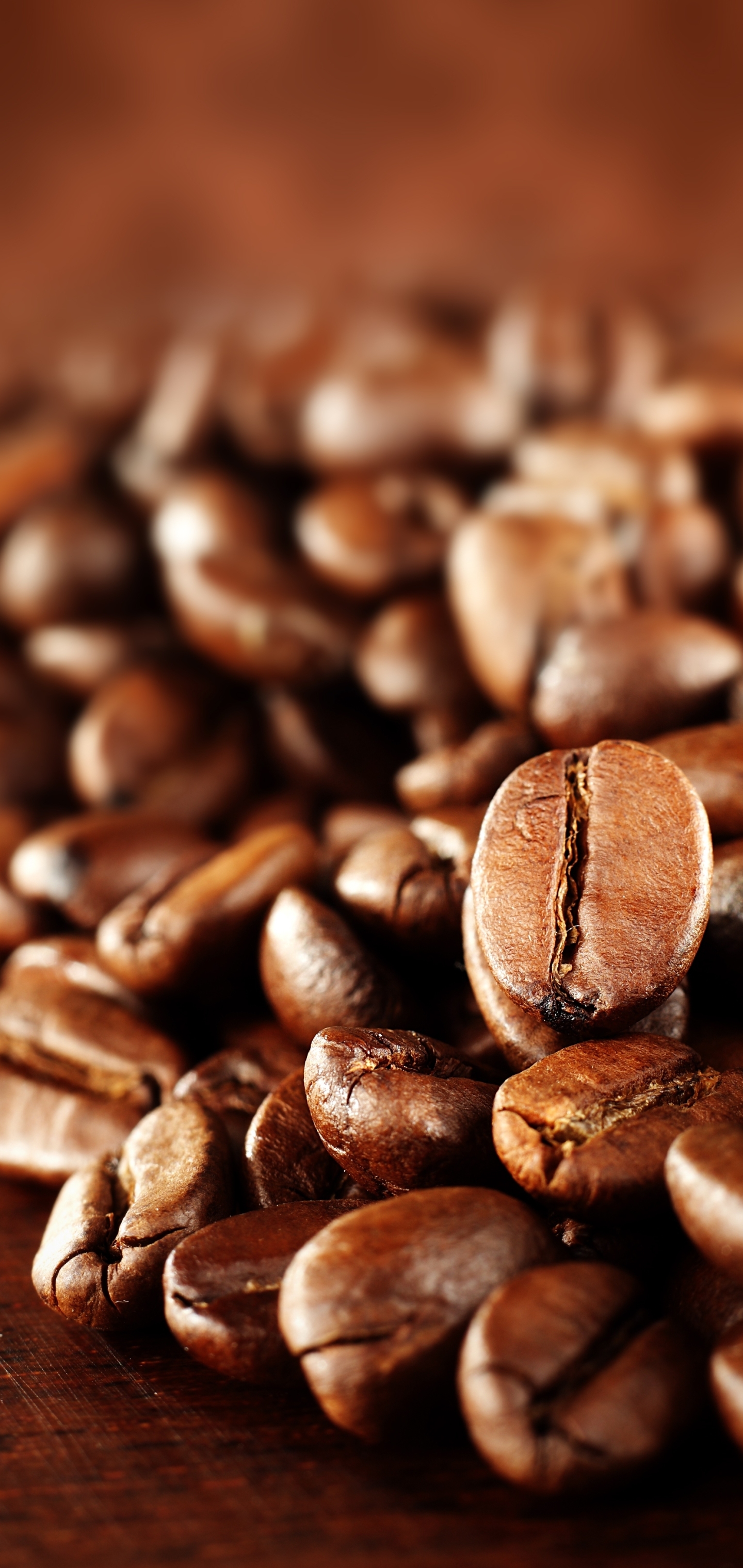 Download mobile wallpaper Food, Coffee, Coffee Beans for free.