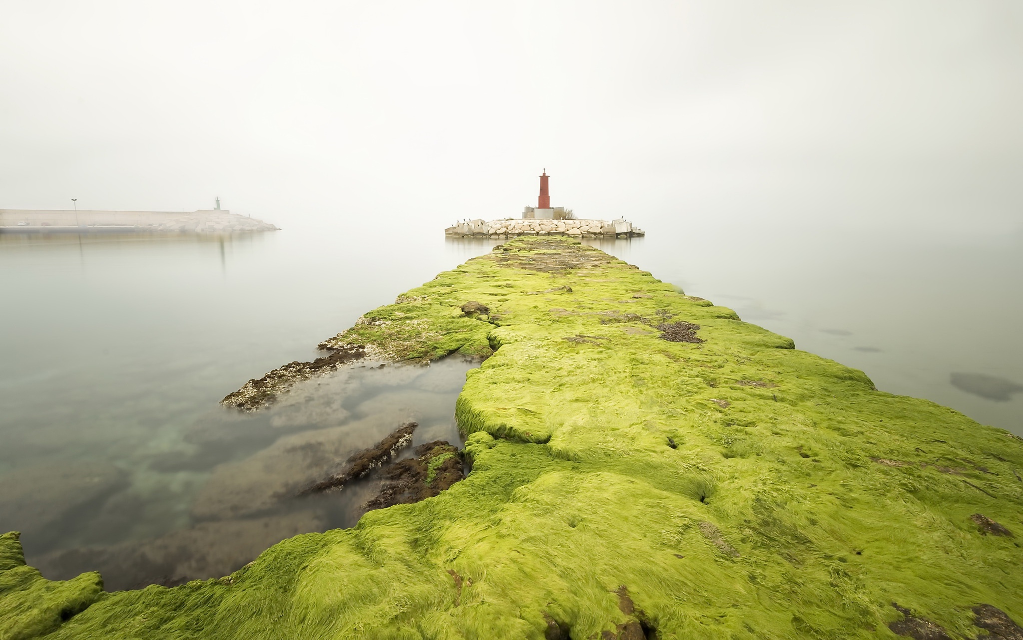 PCデスクトップに灯台, 霧, 海洋, モス, マンメイド画像を無料でダウンロード