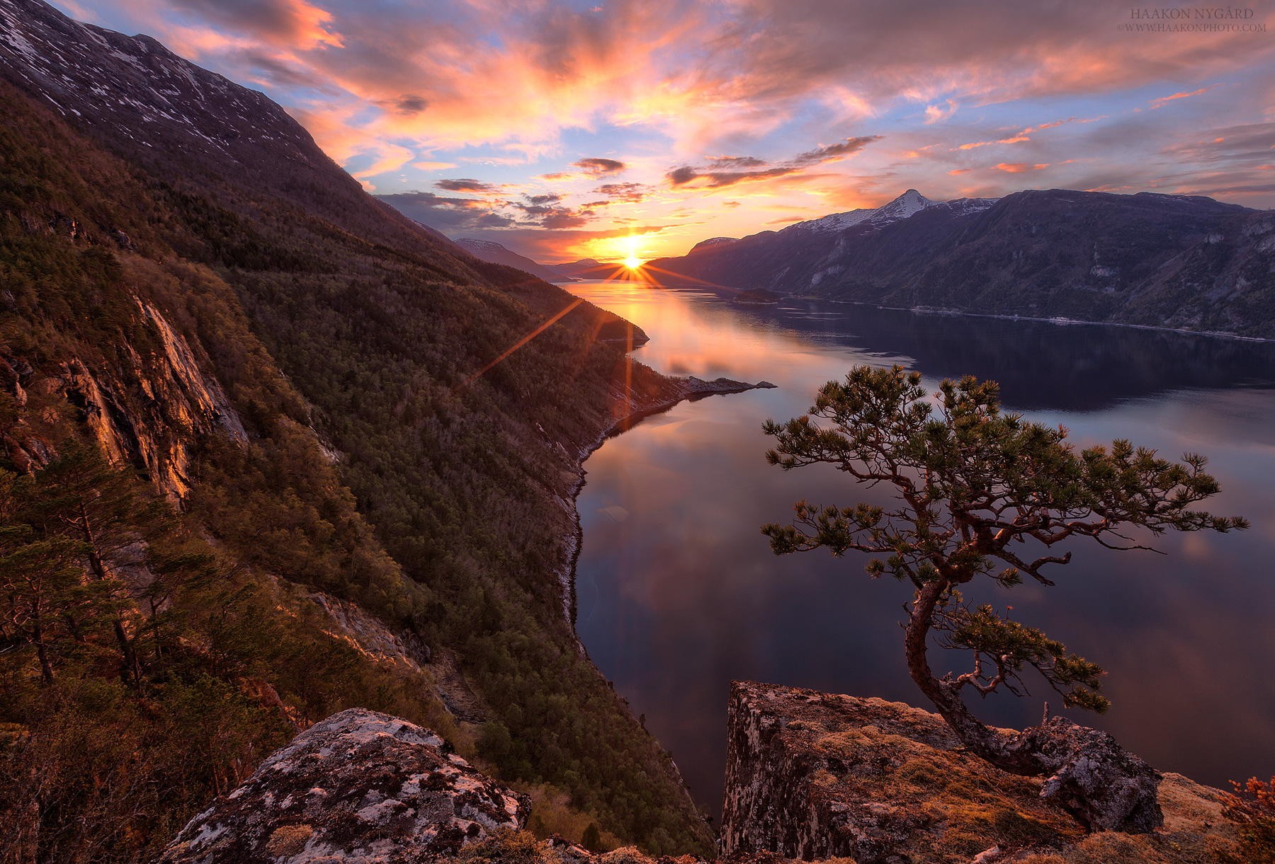 Download mobile wallpaper Sunset, Mountain, Tree, Earth, Fjord for free.
