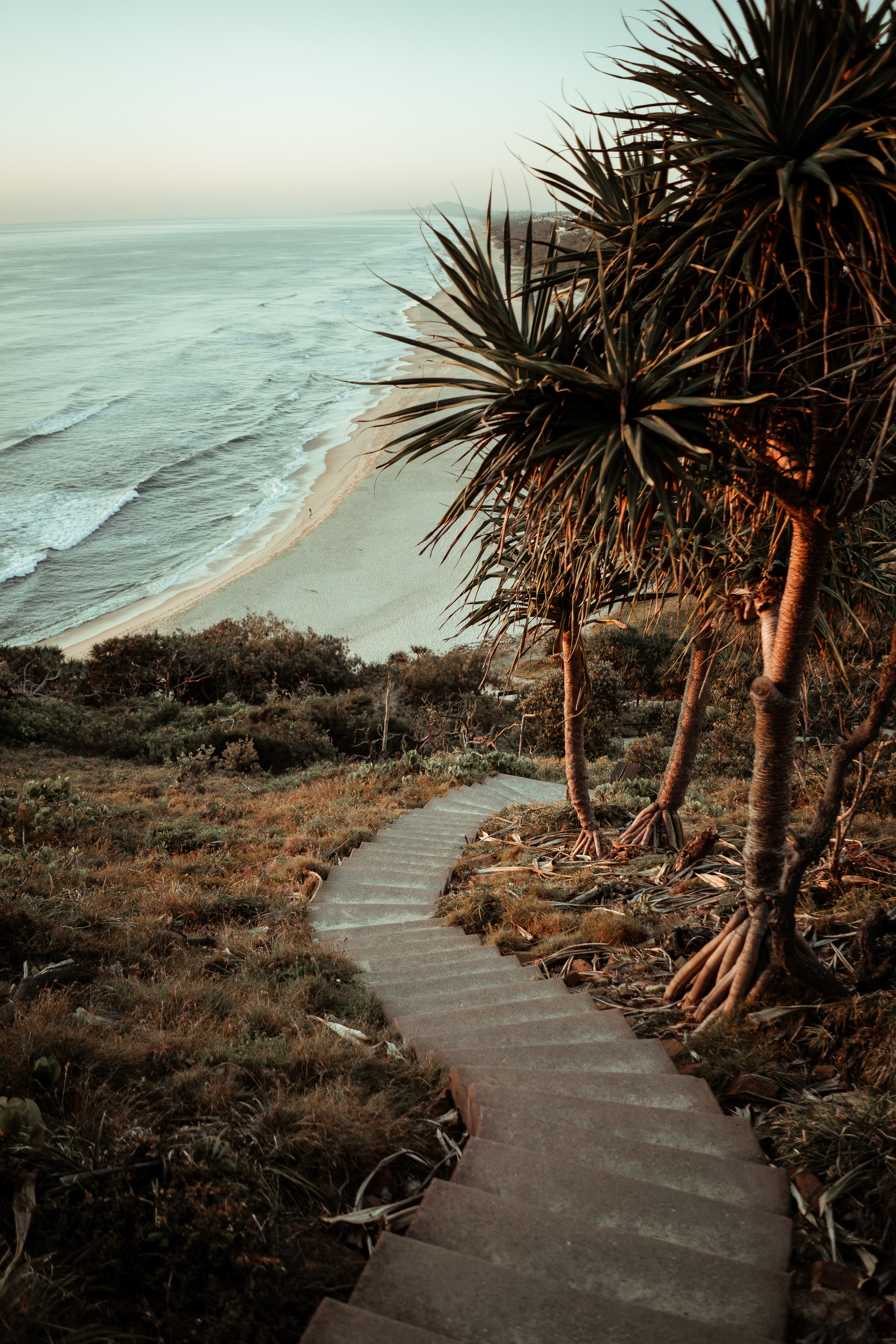 Free download wallpaper Ladder, Stairs, Nature, Palms, Ocean on your PC desktop