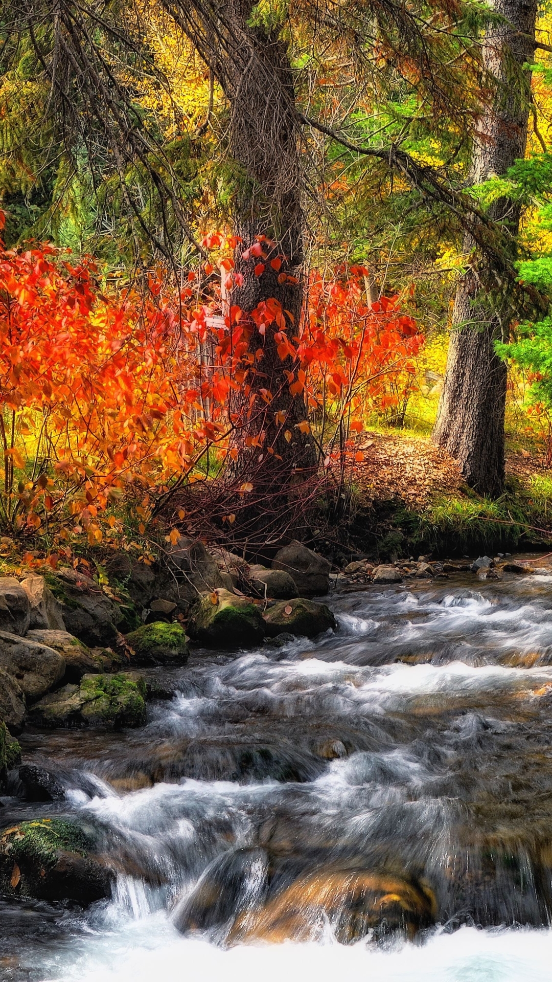 Download mobile wallpaper Nature, Forest, Fall, Earth, Stream for free.