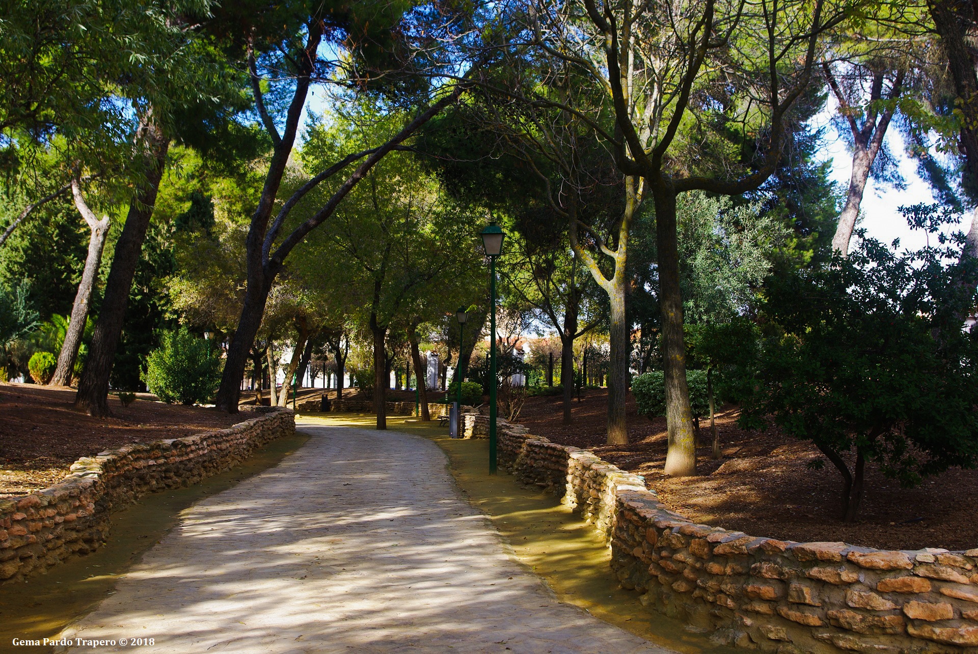 Handy-Wallpaper Park, Baum, Pfad, Spanien, Fotografie, Laternenmast kostenlos herunterladen.