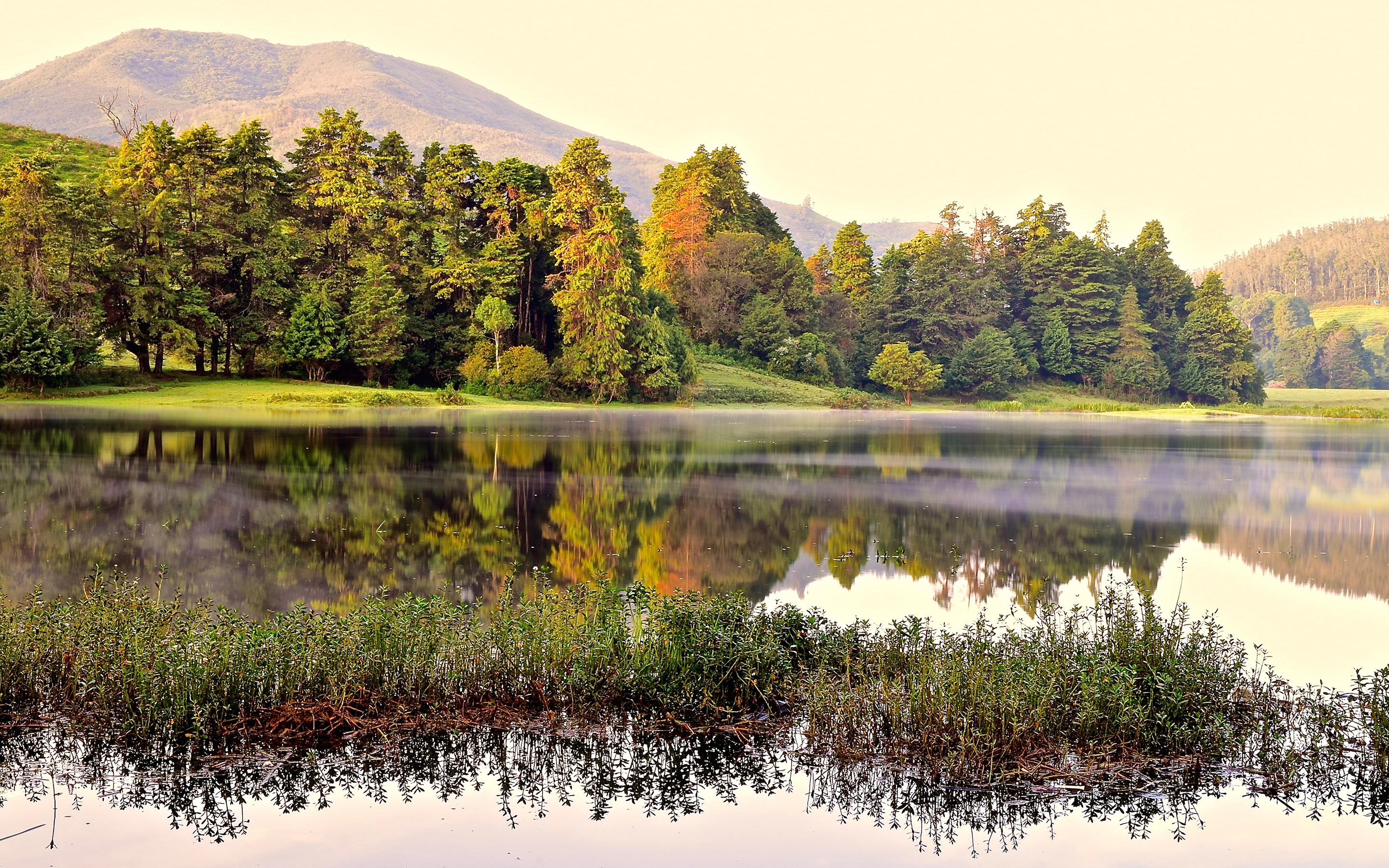 Laden Sie das Natur, See, Wald, Erde/natur, Spiegelung-Bild kostenlos auf Ihren PC-Desktop herunter