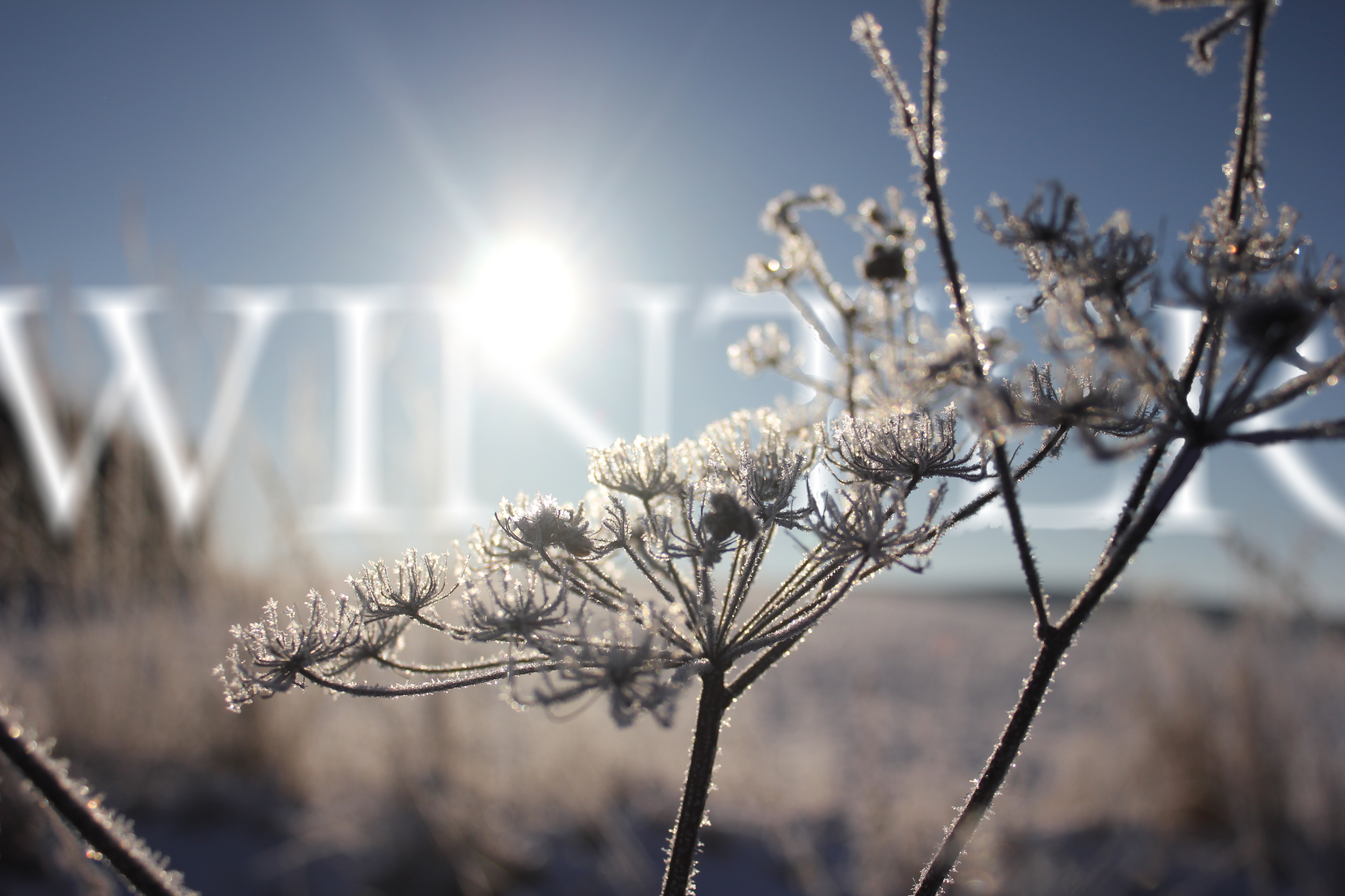 Laden Sie das Winter, Schnee, Feld, Fotografie, Jahreszeit, Manipulation-Bild kostenlos auf Ihren PC-Desktop herunter