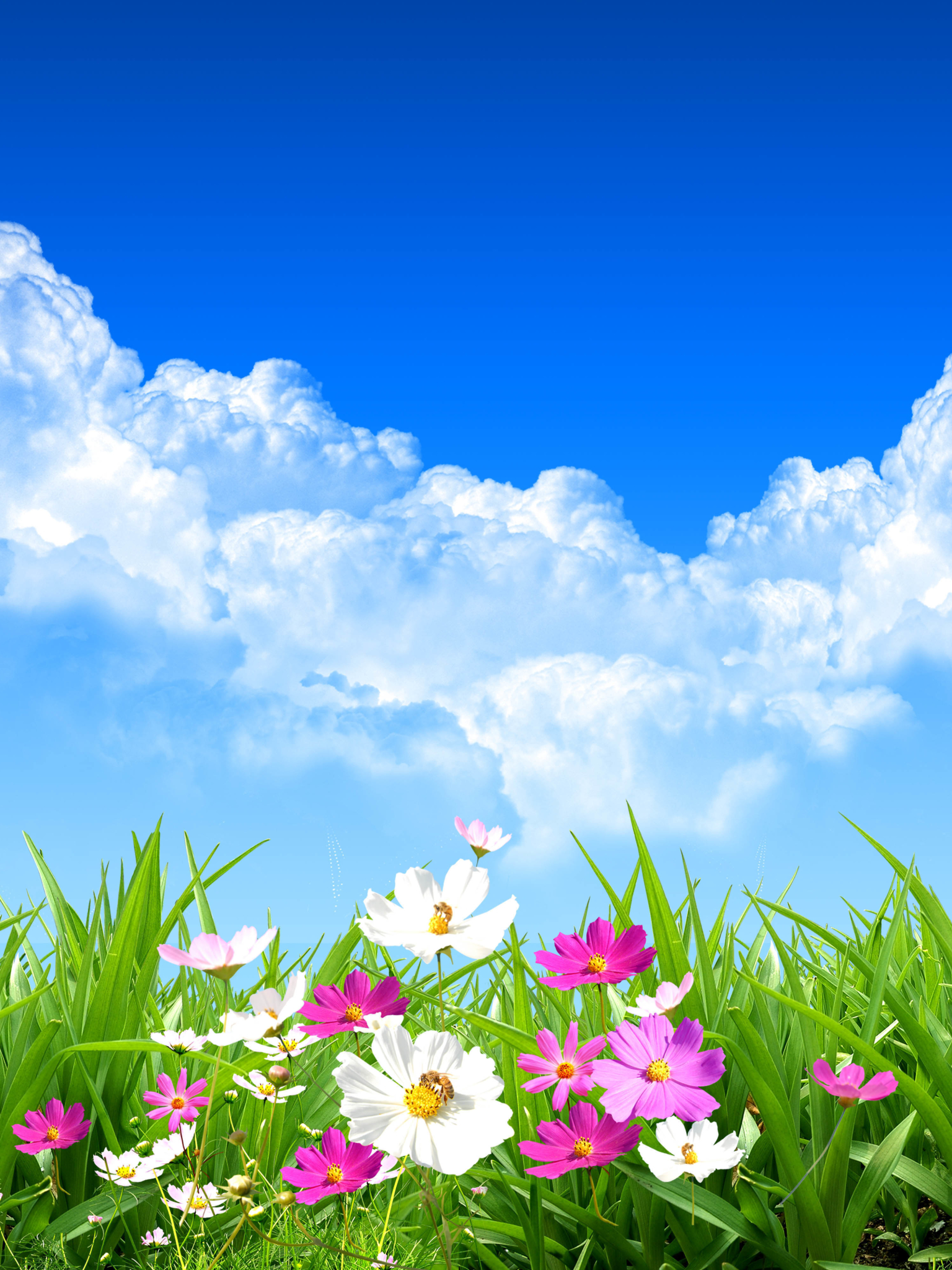 Скачати мобільні шпалери Трава, Космос, Весна, Художній, Хмара безкоштовно.