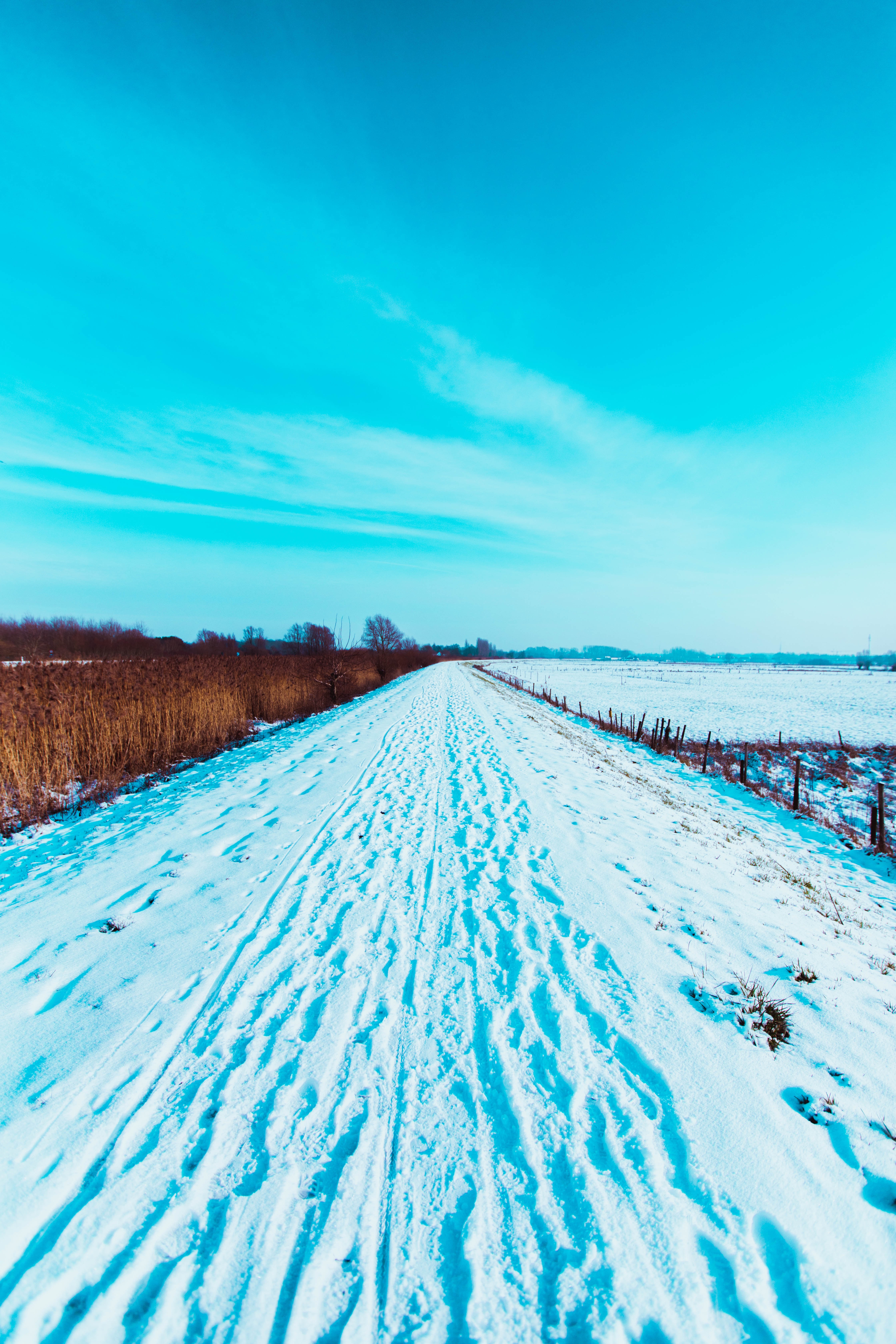 Laden Sie das Spuren, Natur, Schnee, Straße, Winter, Feld, Landschaft-Bild kostenlos auf Ihren PC-Desktop herunter