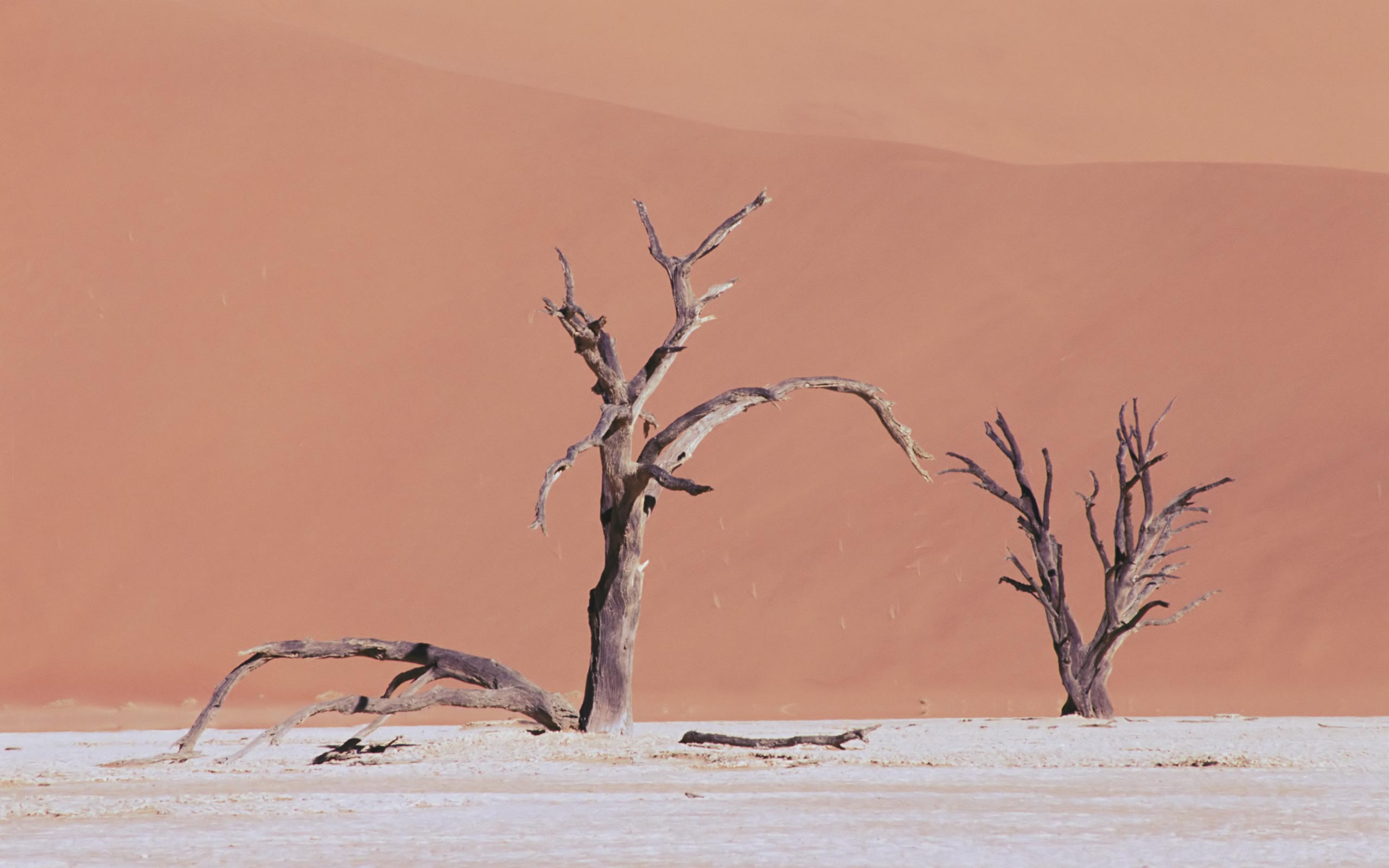 Descarga gratis la imagen Desierto, Tierra/naturaleza en el escritorio de tu PC