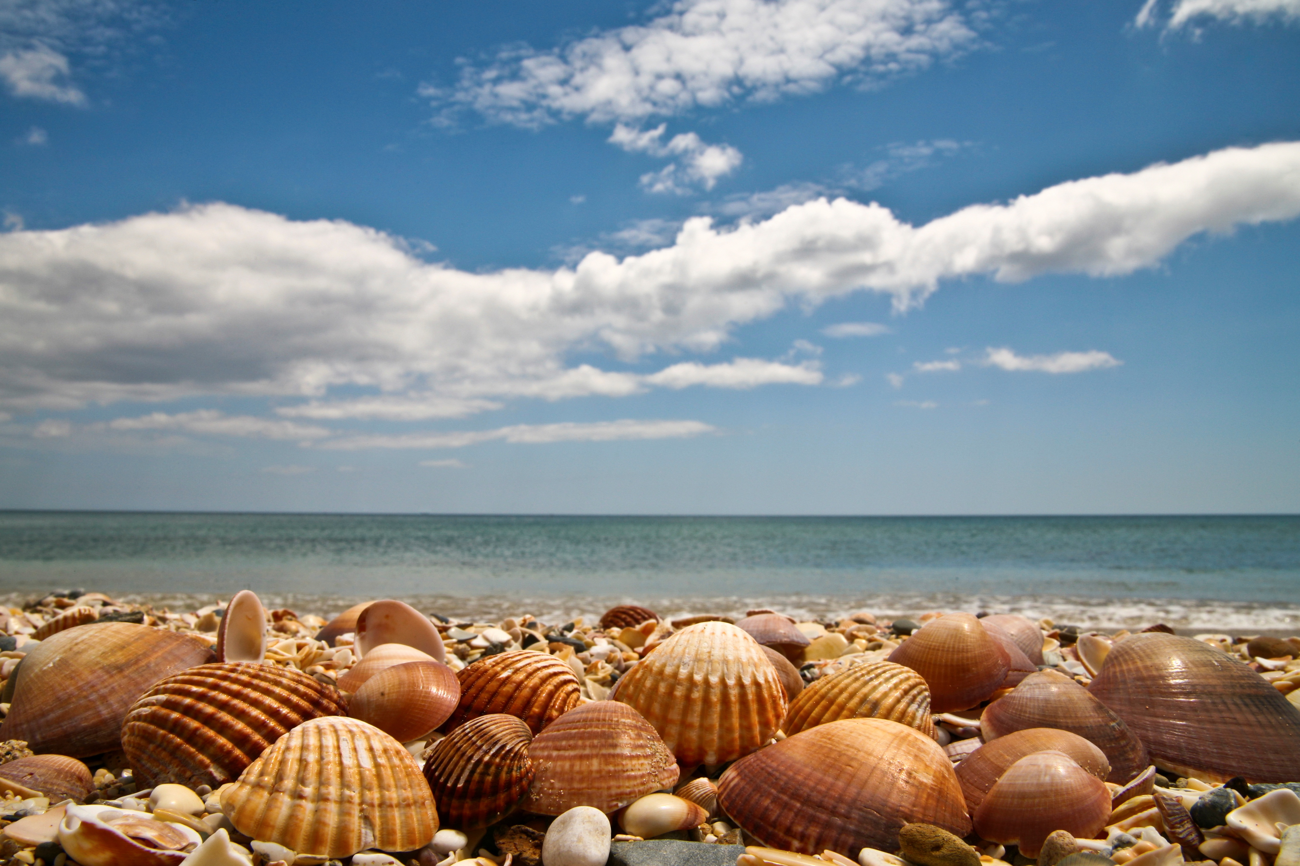 Laden Sie das Horizont, Ozean, Wolke, Muschel, Erde/natur-Bild kostenlos auf Ihren PC-Desktop herunter