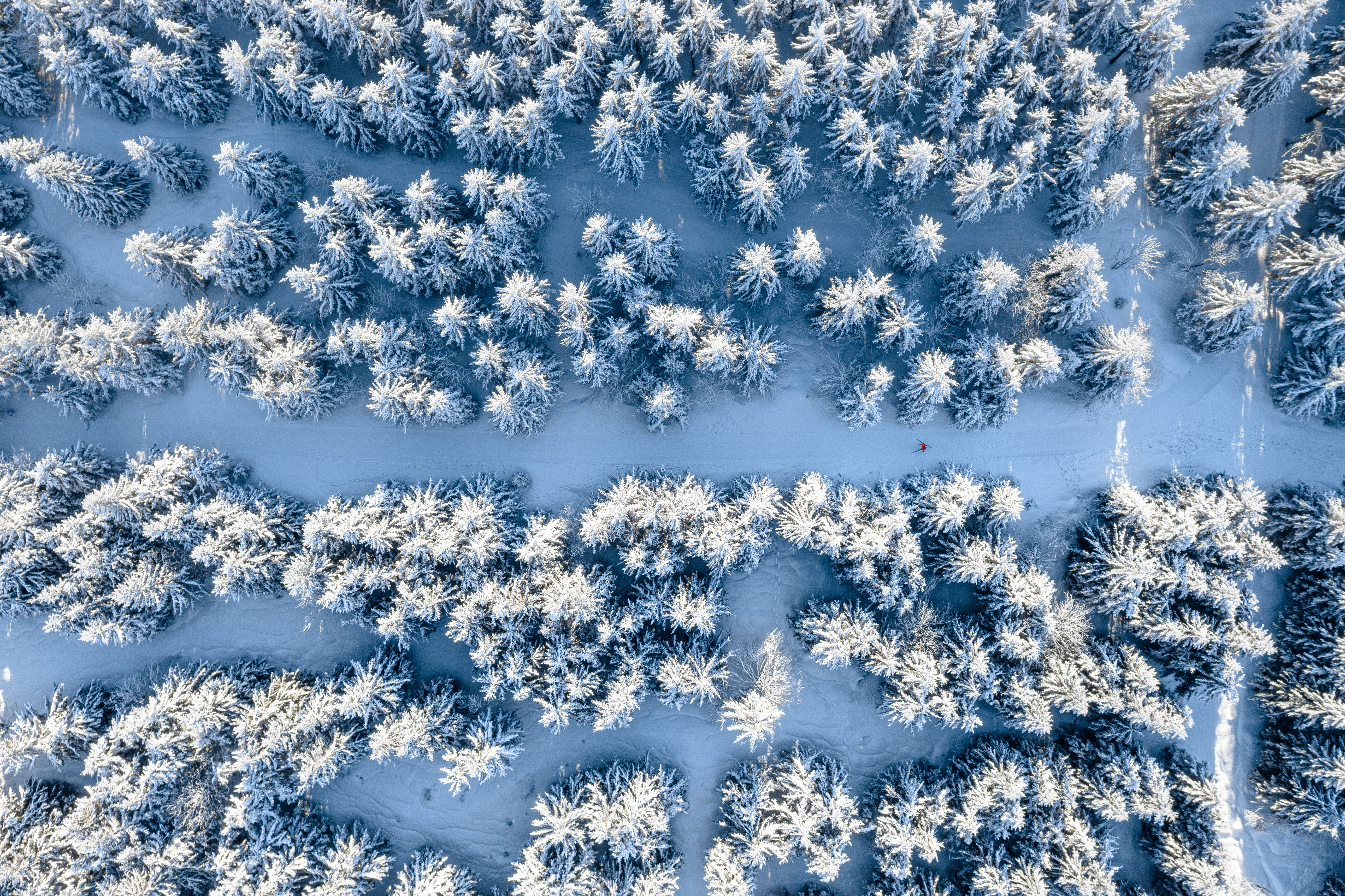Скачать картинку Вид Сверху, Природа, Лес, Снег, Зима в телефон бесплатно.