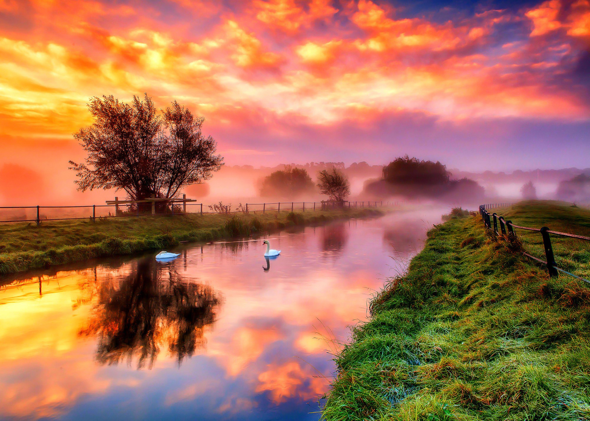 Free download wallpaper Sunset, Tree, Fog, Earth, Fence, Swan, River on your PC desktop