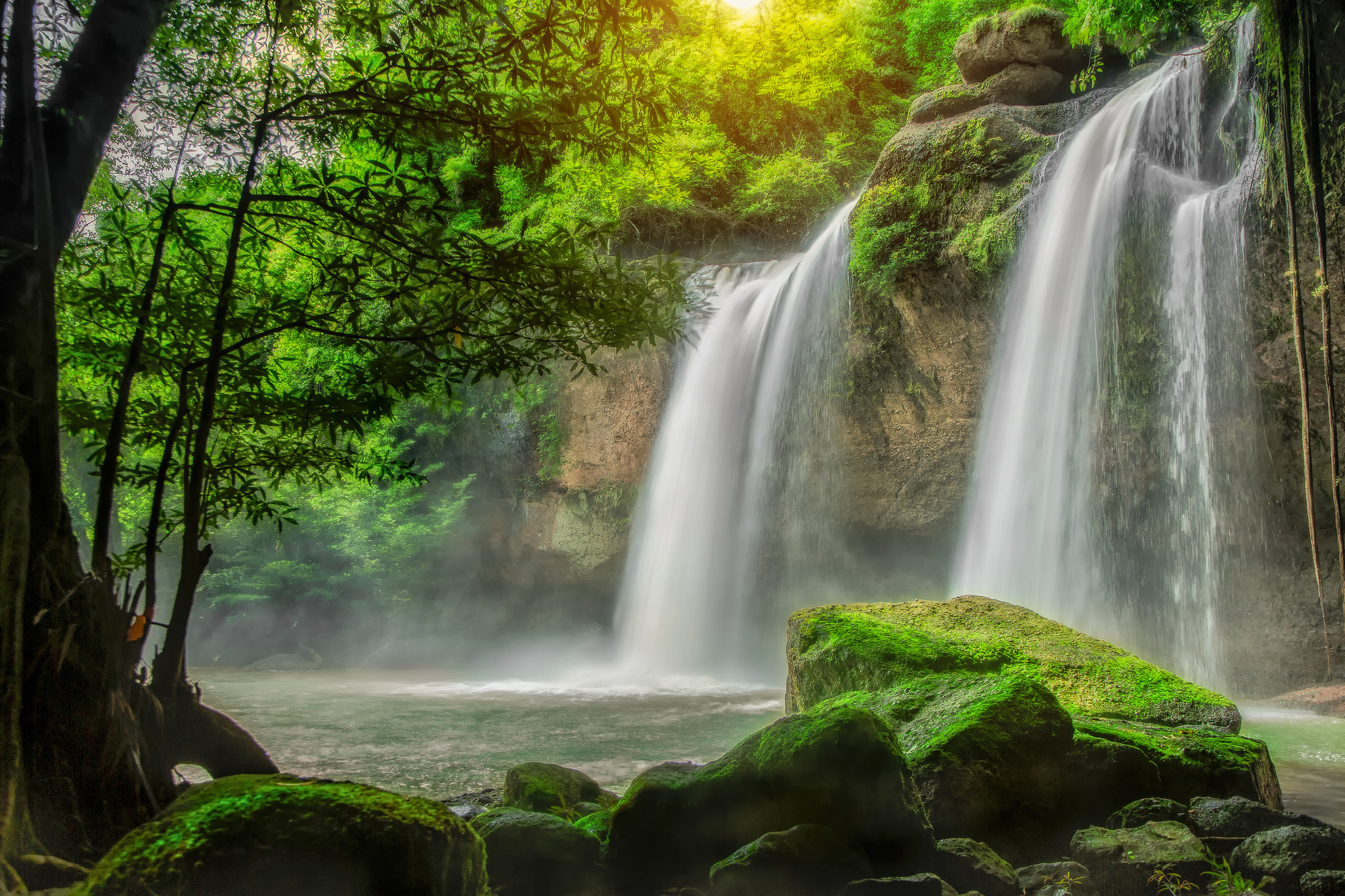 Download mobile wallpaper Waterfalls, Waterfall, Forest, Tree, Earth for free.