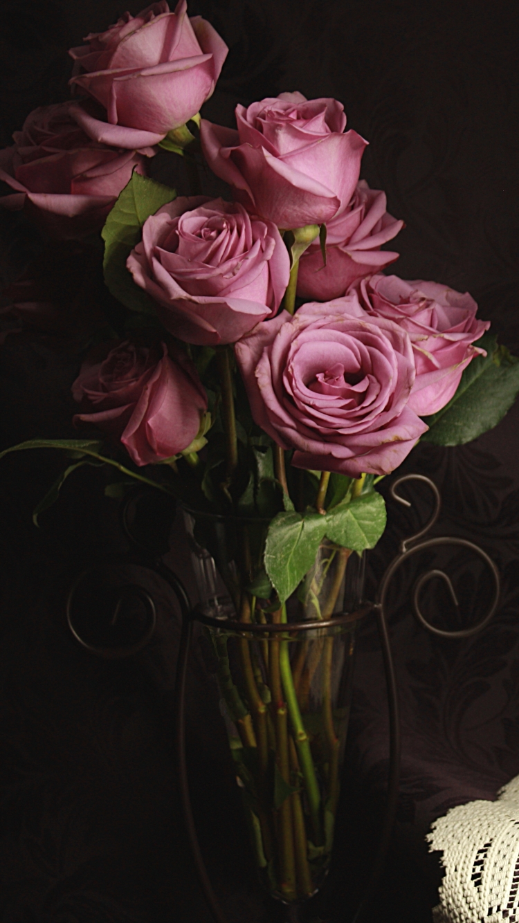 Download mobile wallpaper Still Life, Flower, Rose, Photography, Pink Flower for free.